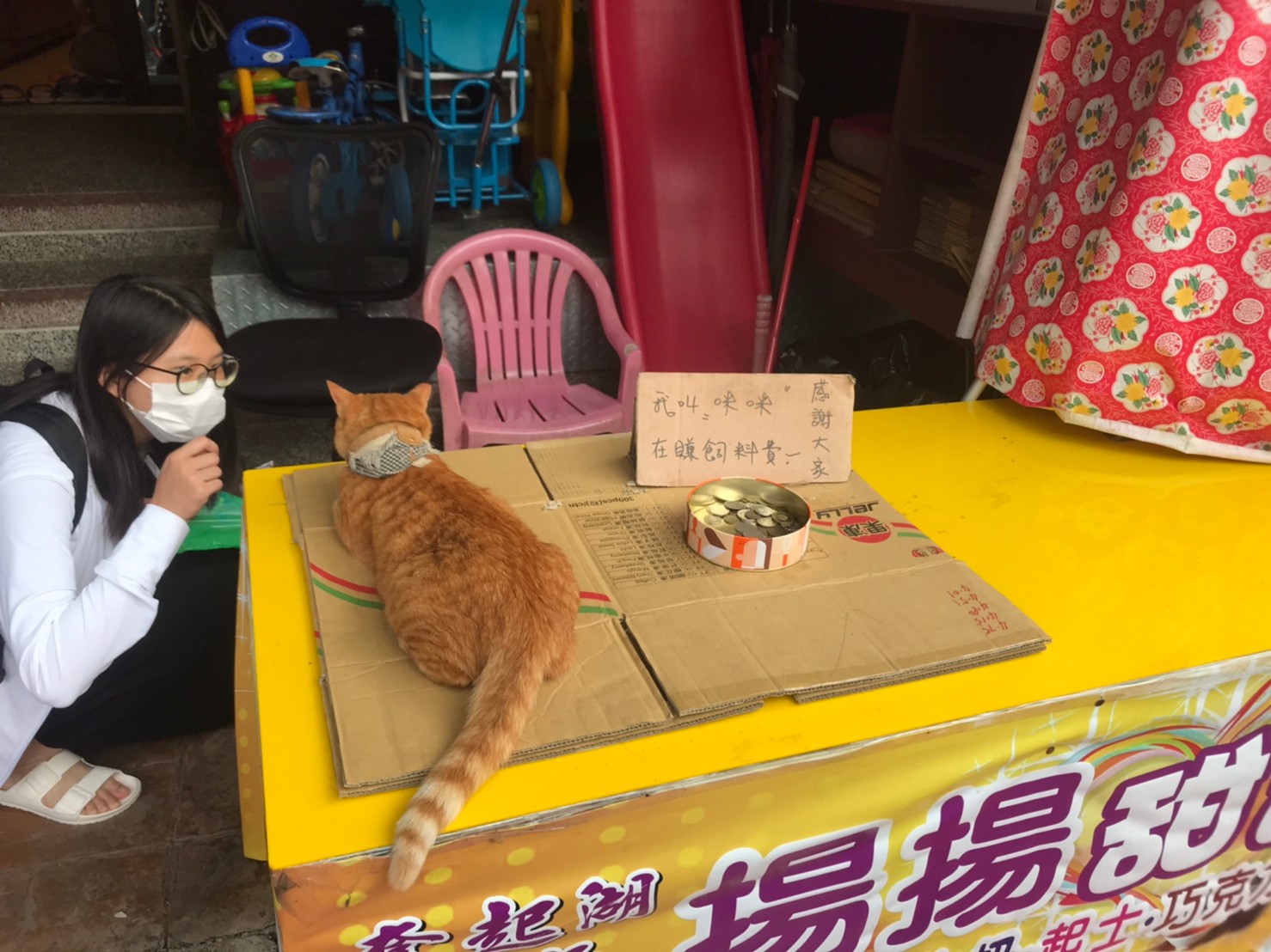 奮起湖 https://dtks6emtee9cj.cloudfront.net/20200627/001.jpg