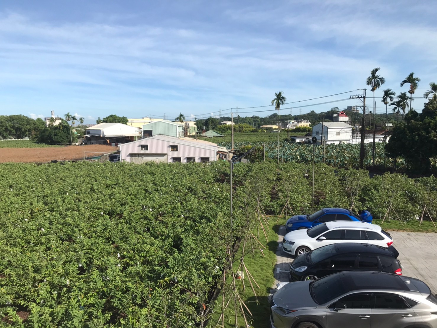 奮起湖 https://dtks6emtee9cj.cloudfront.net/20200627/014.jpg