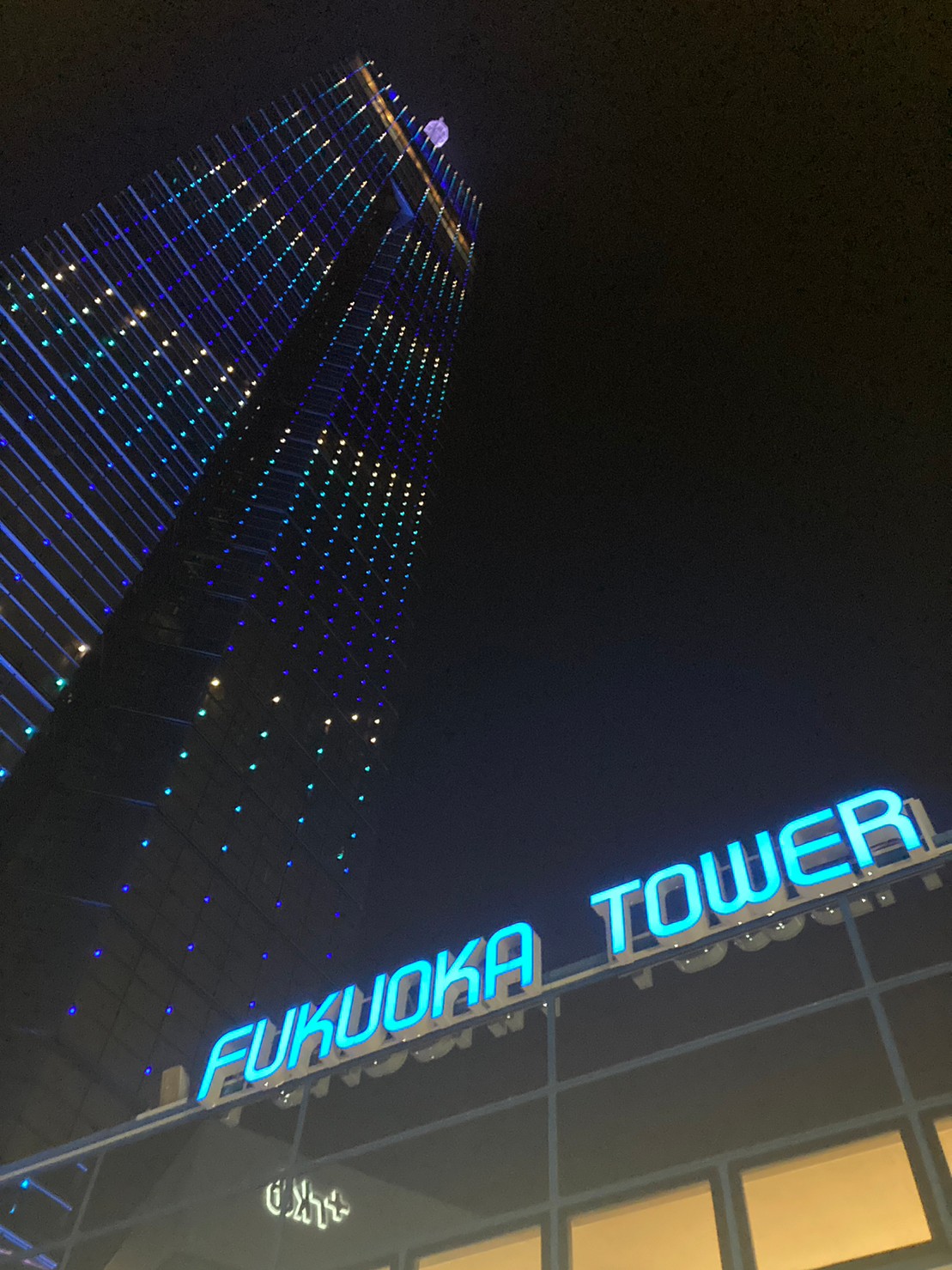 福岡塔 https://dtks6emtee9cj.cloudfront.net/20230218/11.jpg