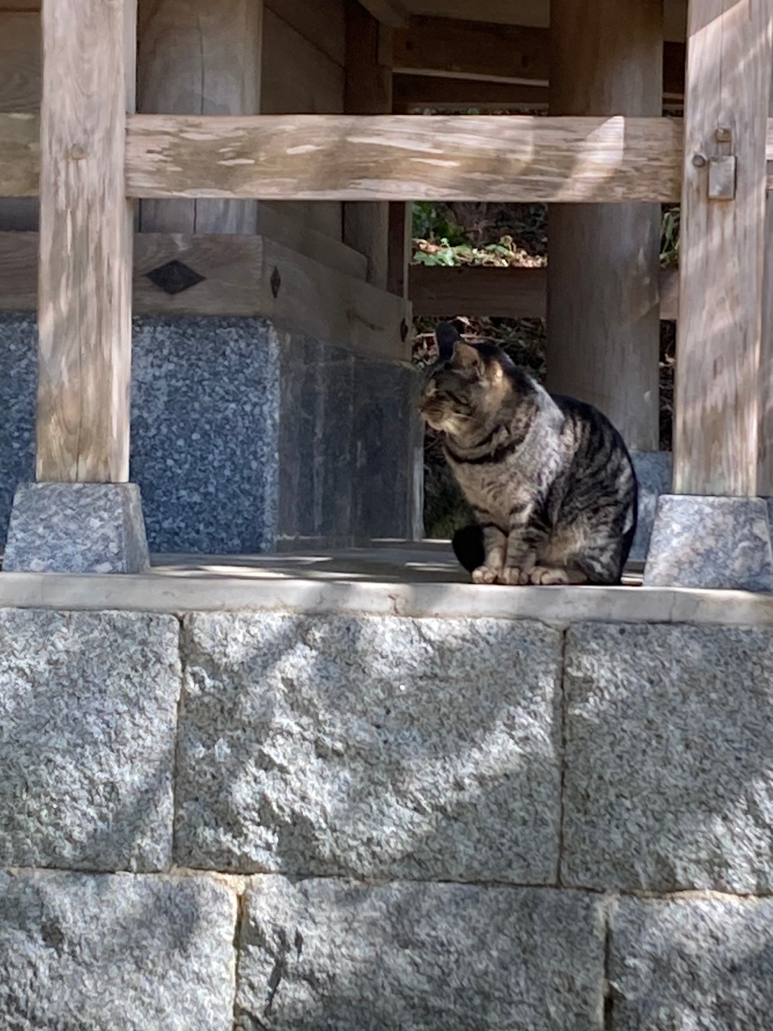 太宰府 https://dtks6emtee9cj.cloudfront.net/20230218/15.jpg