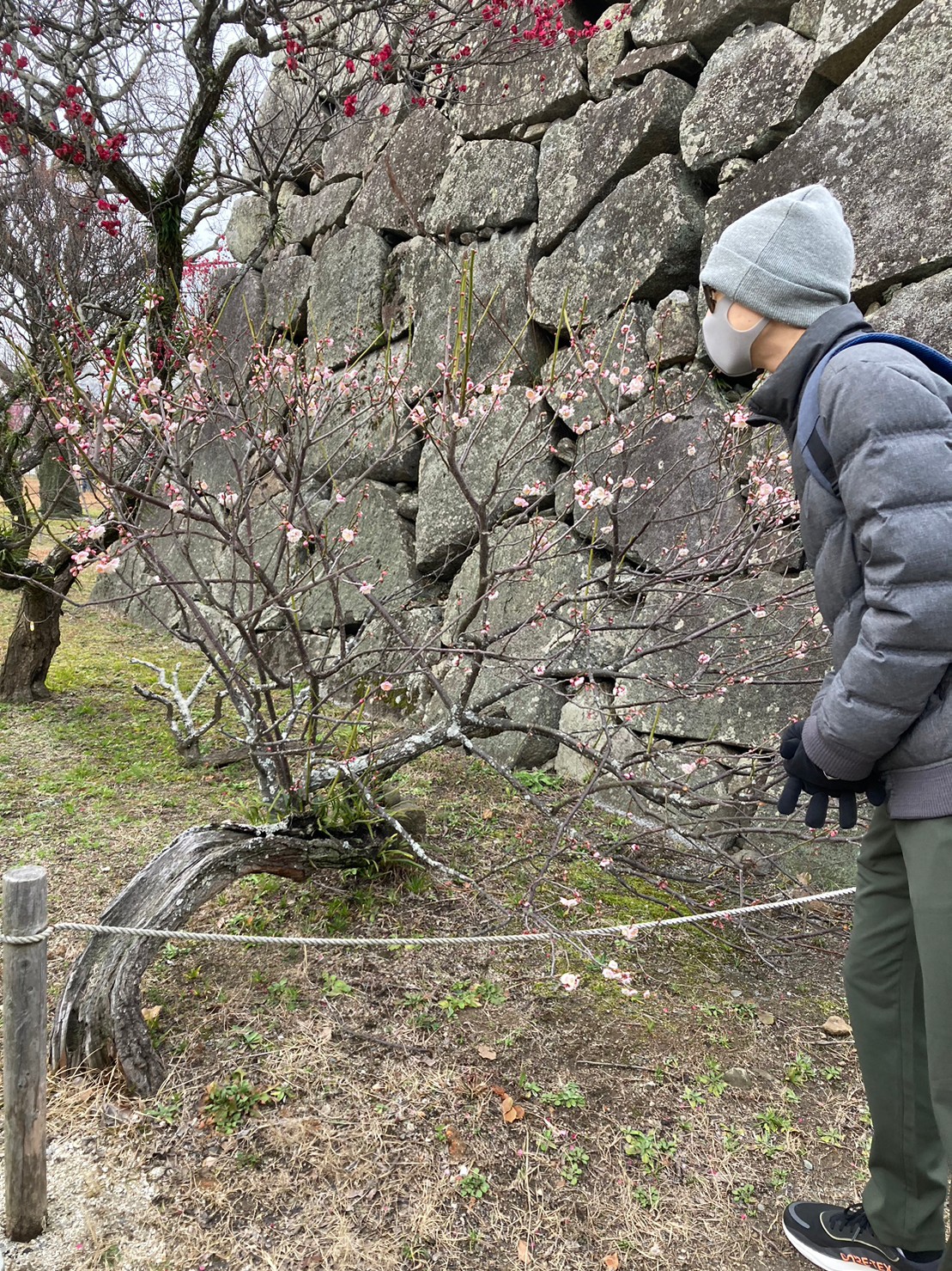福岡城 https://dtks6emtee9cj.cloudfront.net/20230218/50.jpg