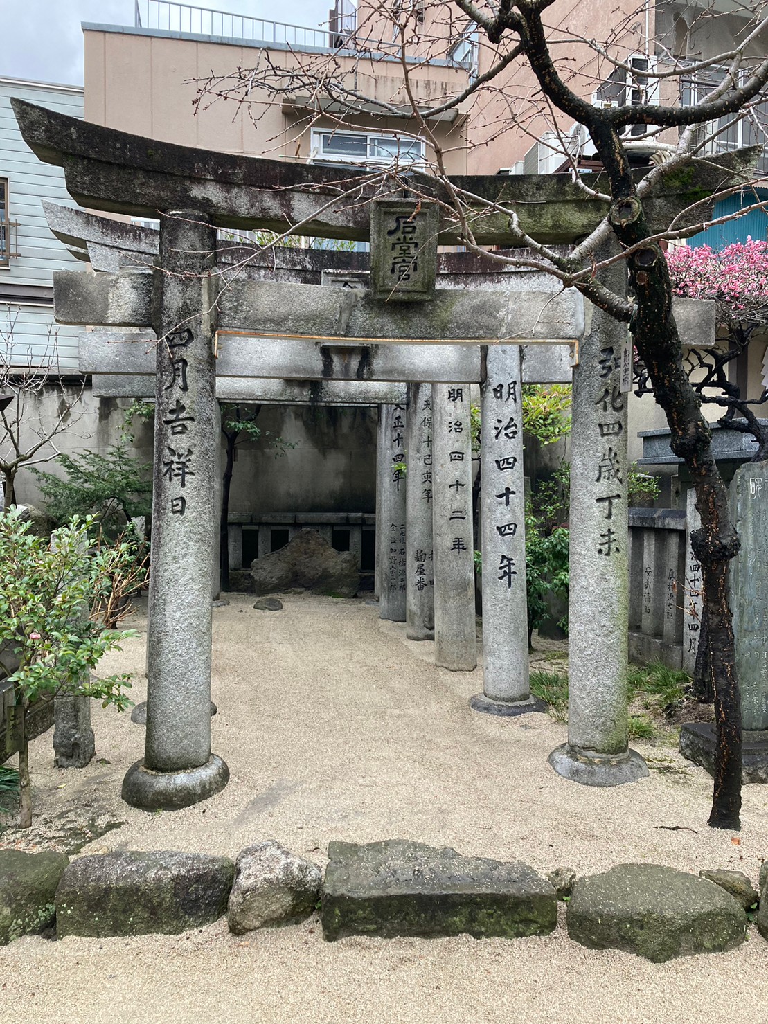 鳥居 https://dtks6emtee9cj.cloudfront.net/20230218/7.jpg