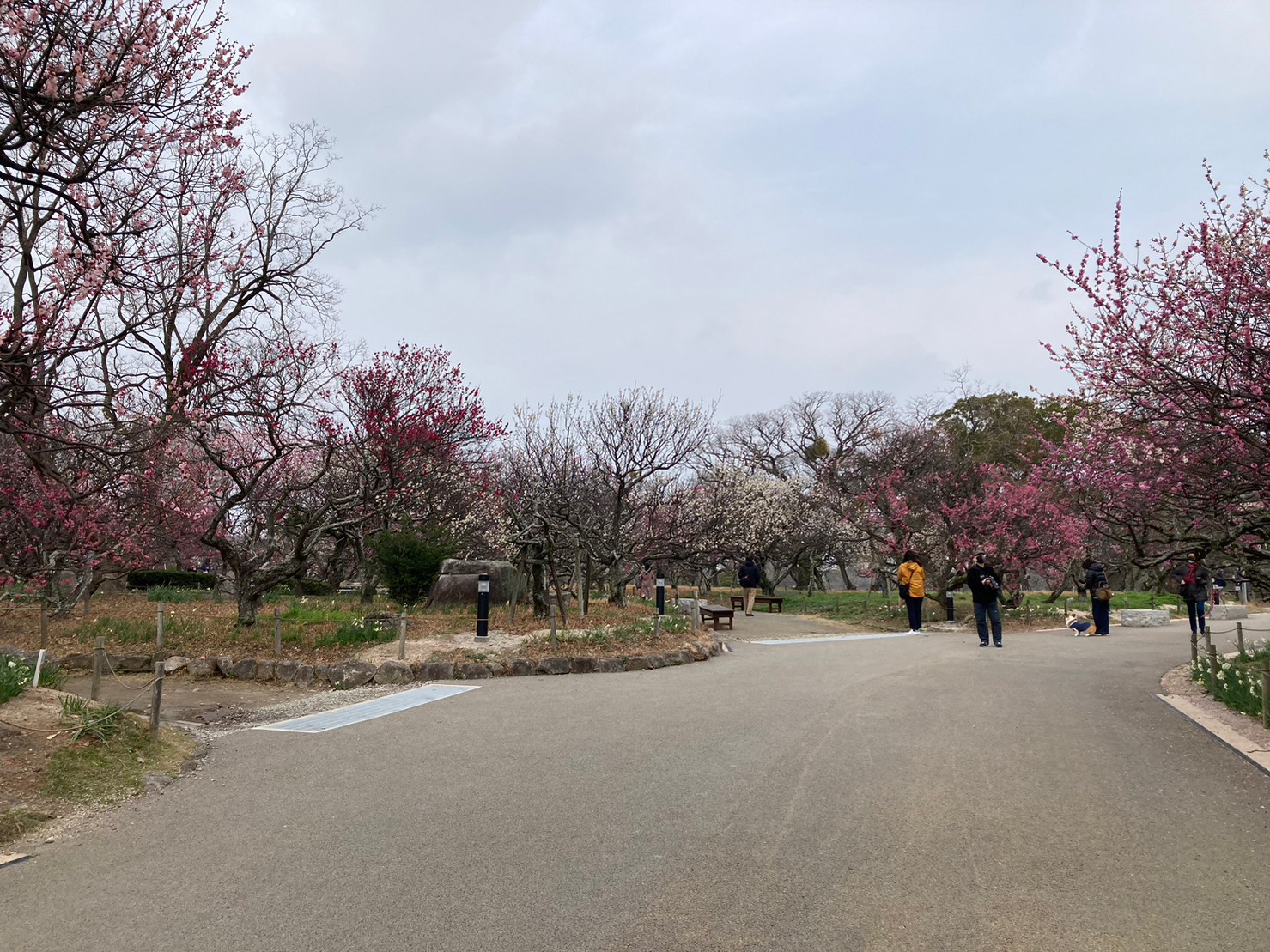 福岡城 https://dtks6emtee9cj.cloudfront.net/20230218/8.jpg