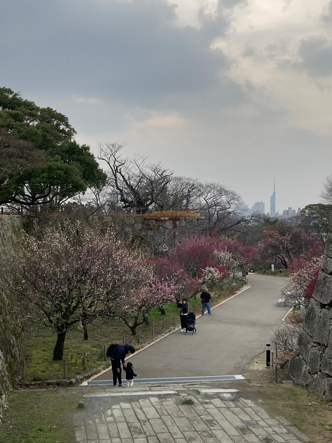 福岡城 https://dtks6emtee9cj.cloudfront.net/20230218/9.jpg