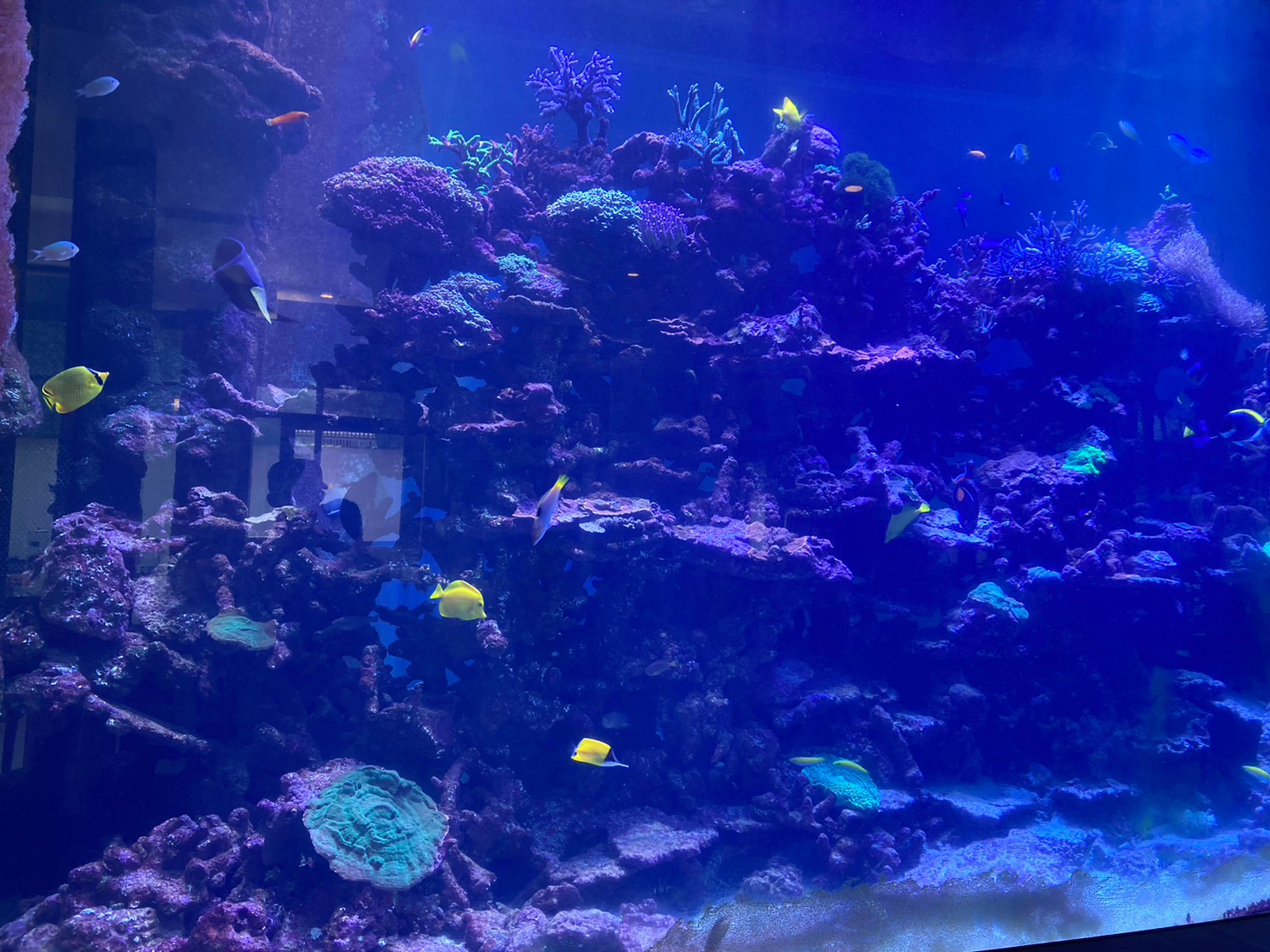 航班 https://dtks6emtee9cj.cloudfront.net/20230502/18.jpg