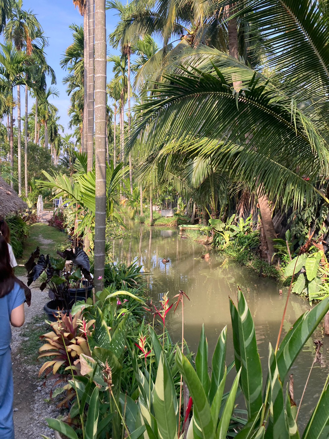 熱帶雨林 https://dtks6emtee9cj.cloudfront.net/20230502/30.jpg