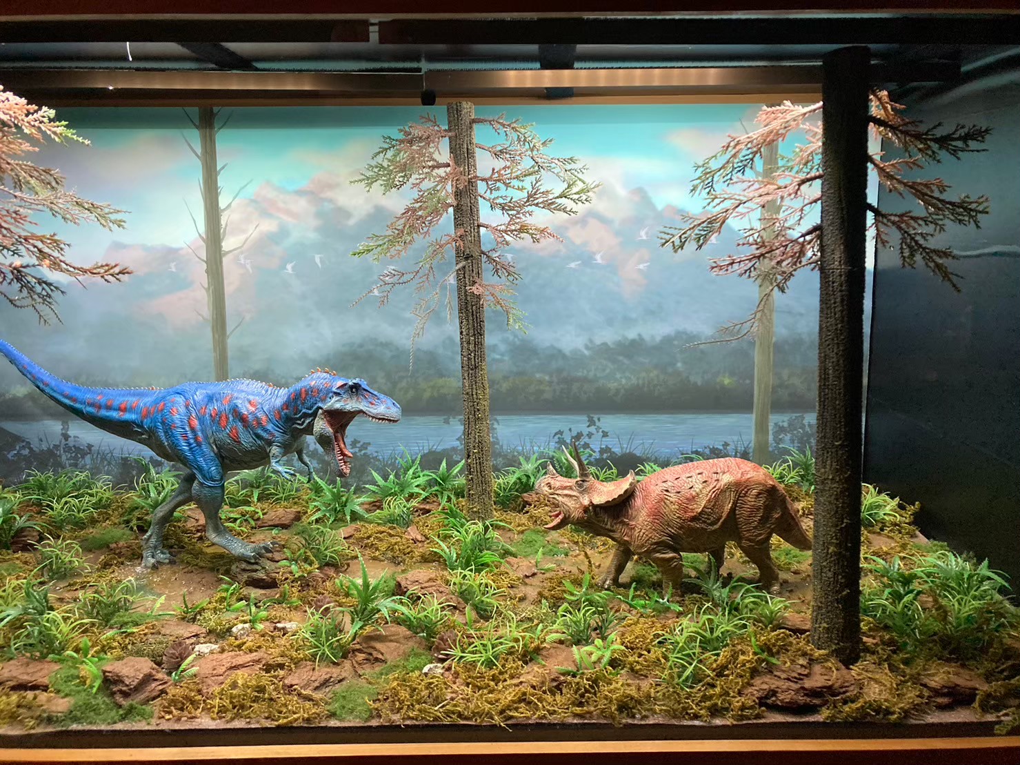 大阪城 https://dtks6emtee9cj.cloudfront.net/20231216/18.jpg