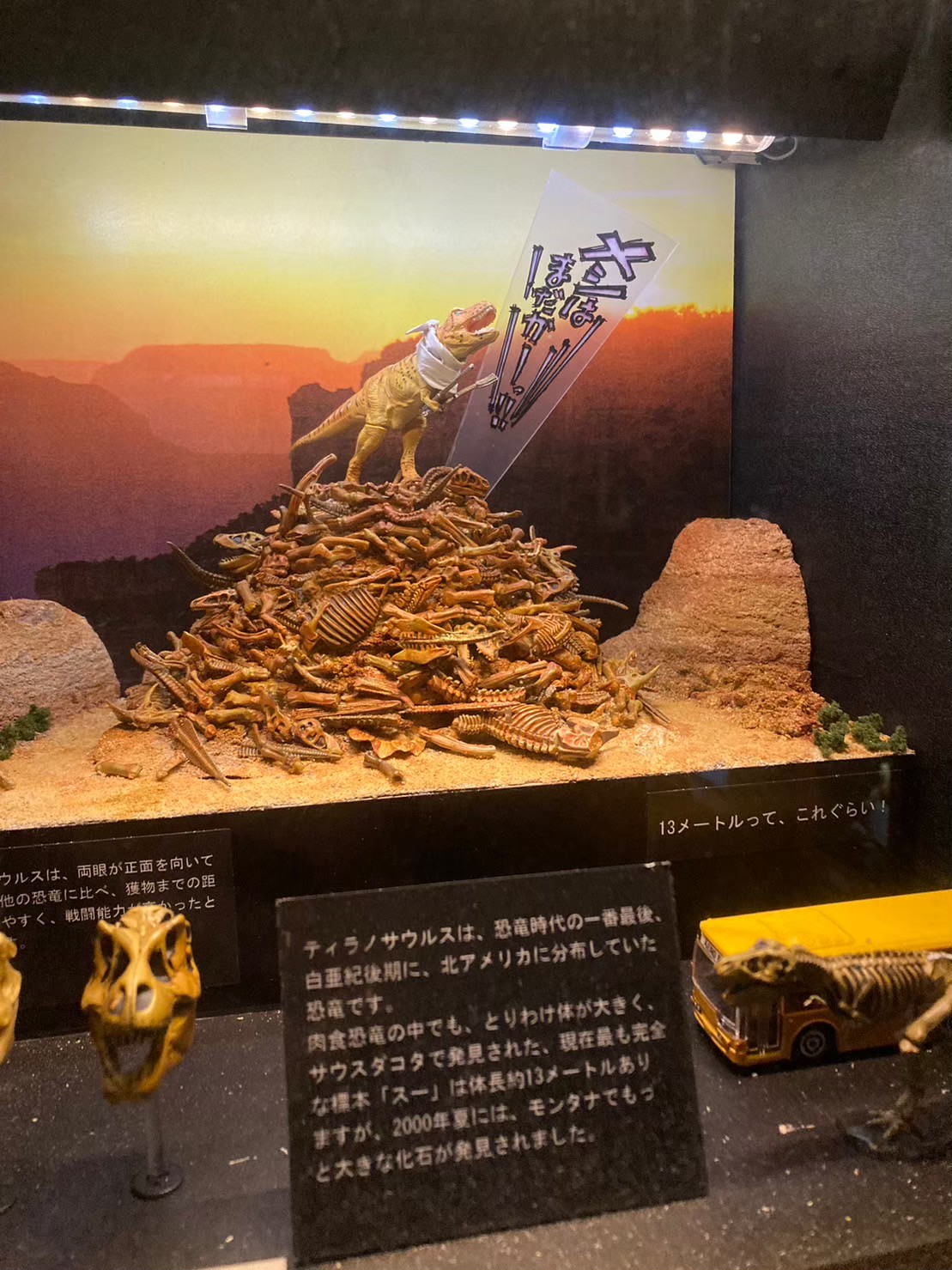 大阪城 https://dtks6emtee9cj.cloudfront.net/20231216/19.jpg