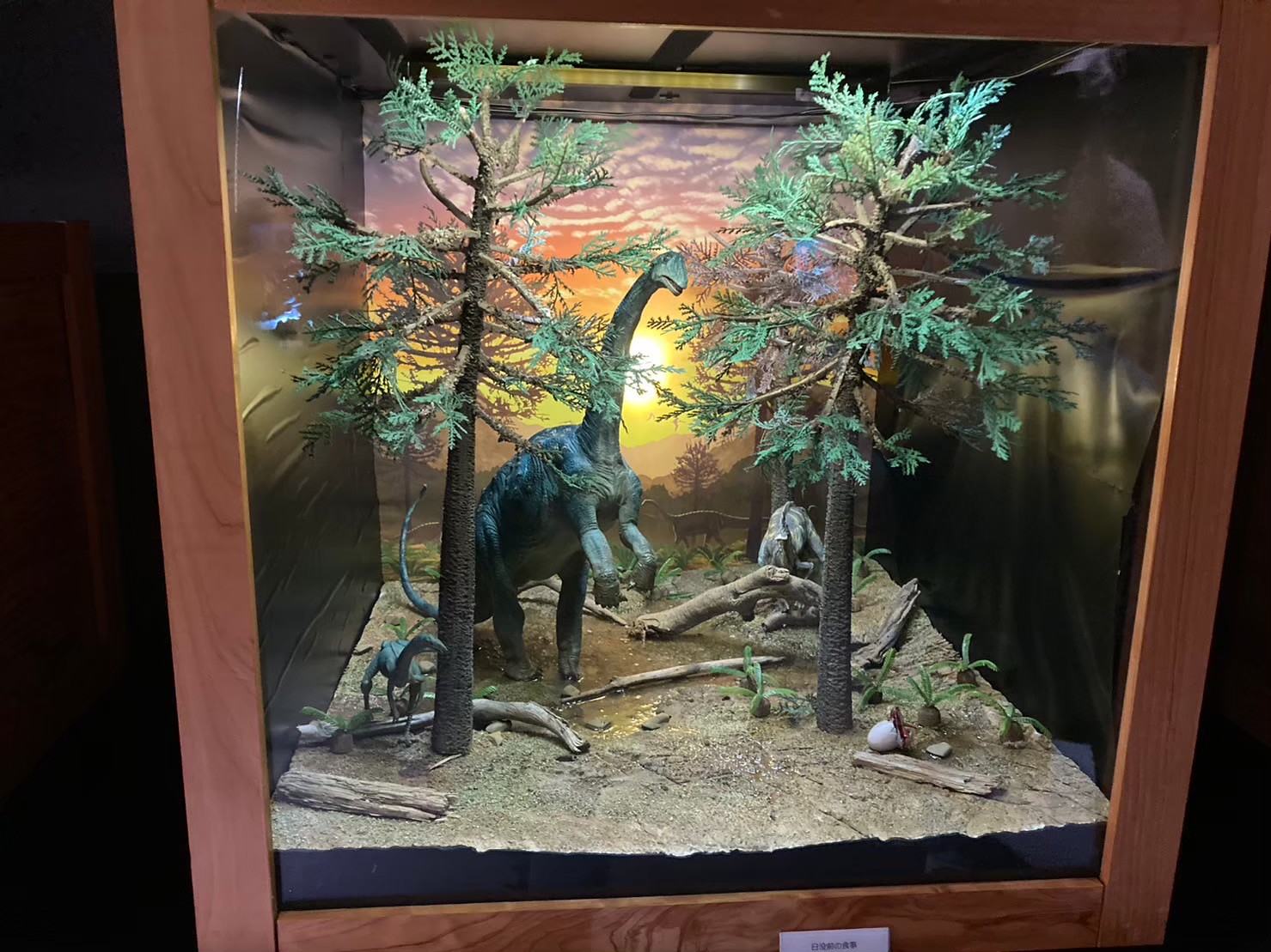 大阪城 https://dtks6emtee9cj.cloudfront.net/20231216/20.jpg