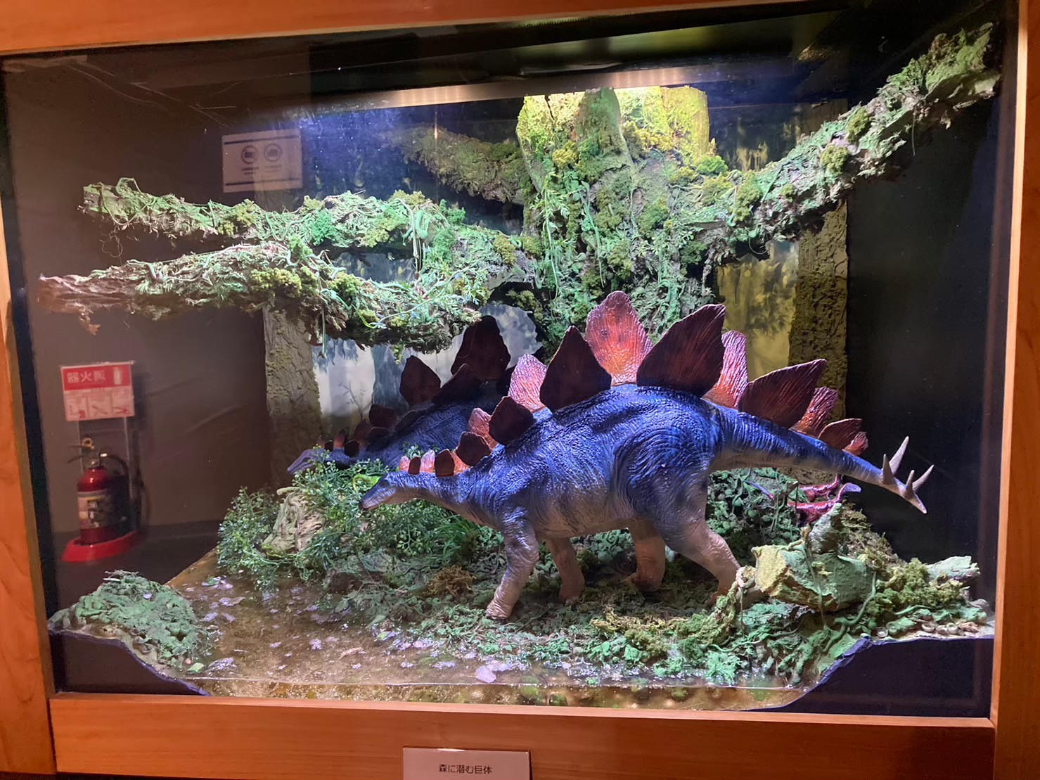 大阪城 https://dtks6emtee9cj.cloudfront.net/20231216/21.jpg