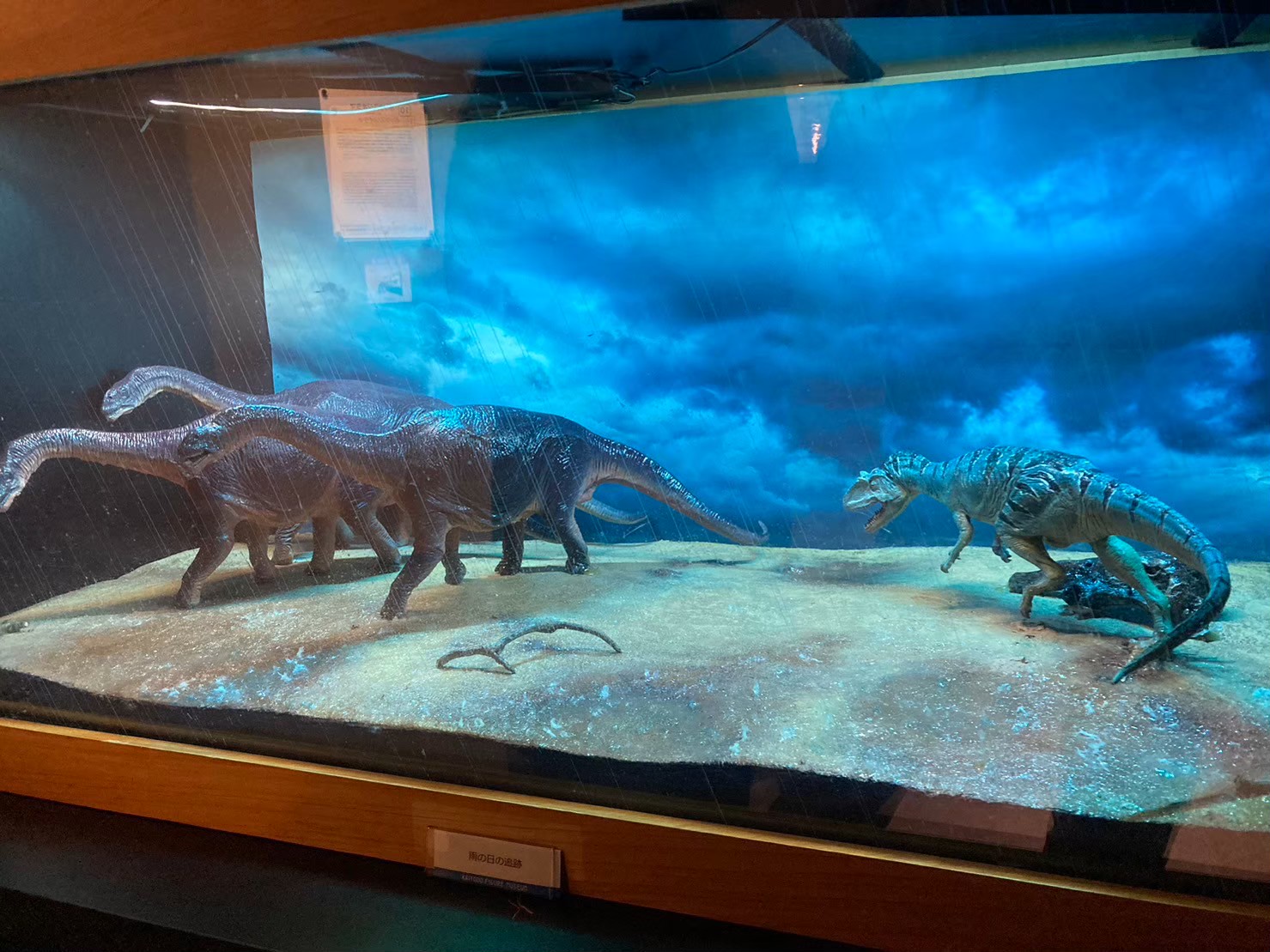 大阪城 https://dtks6emtee9cj.cloudfront.net/20231216/22.jpg