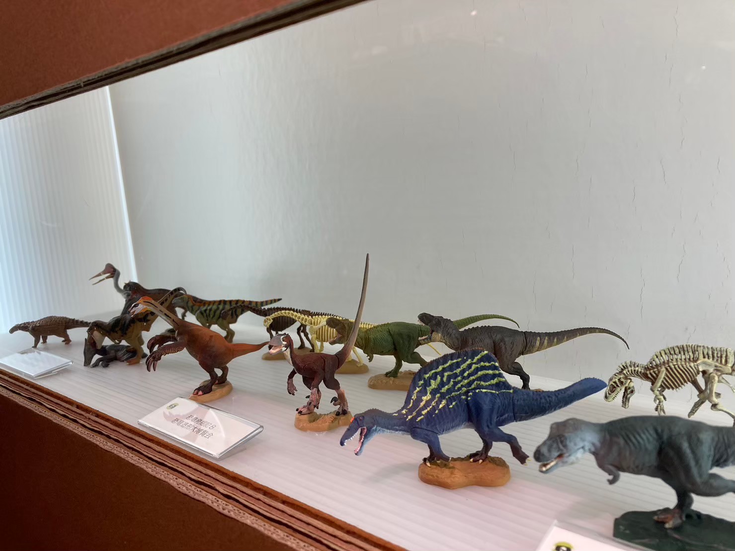 大阪城 https://dtks6emtee9cj.cloudfront.net/20231216/24.jpg