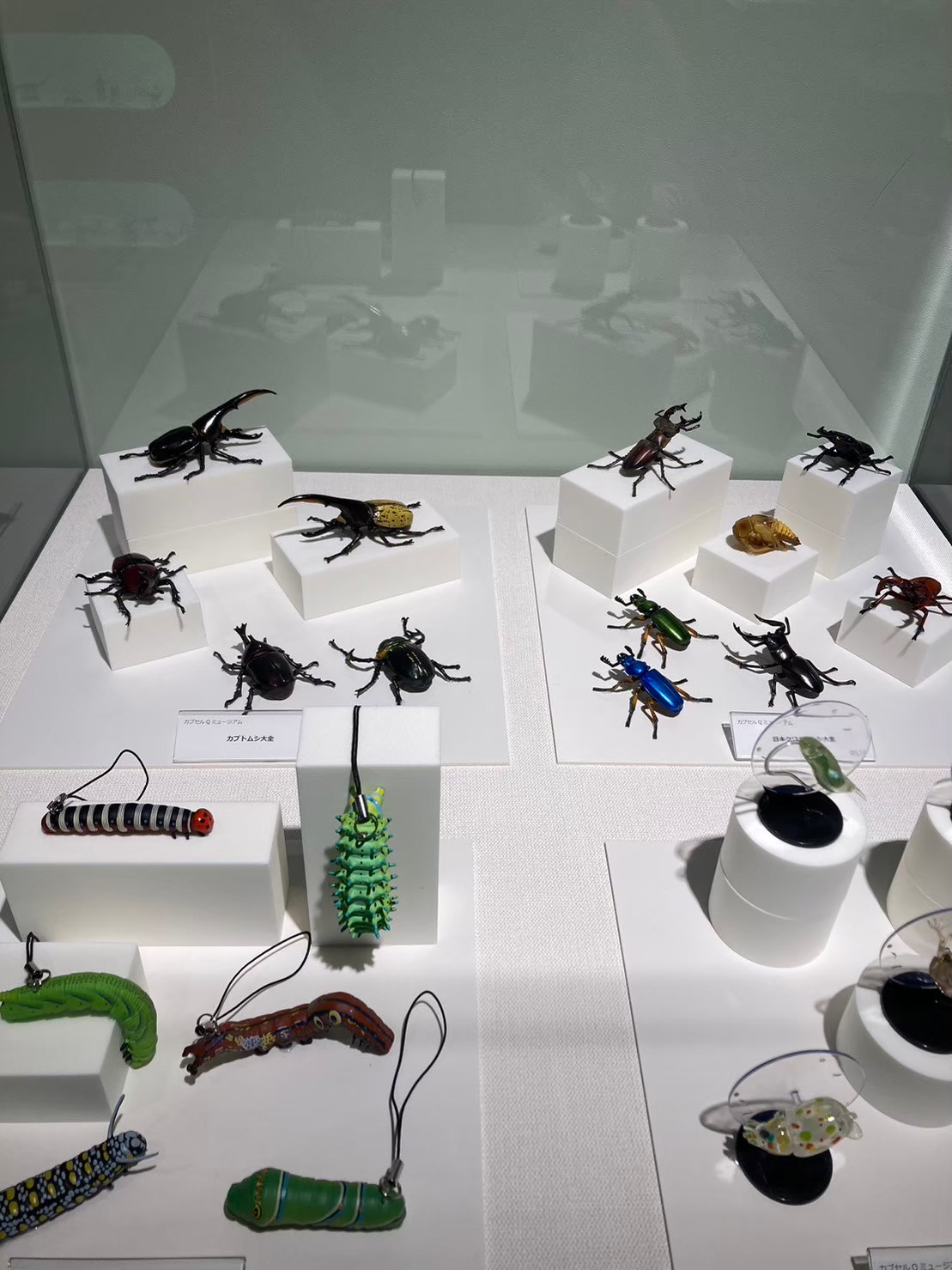 大阪城 https://dtks6emtee9cj.cloudfront.net/20231216/25.jpg