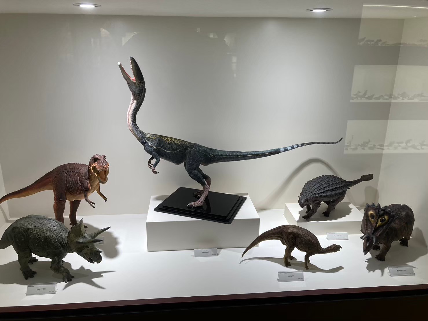 大阪城 https://dtks6emtee9cj.cloudfront.net/20231216/26.jpg