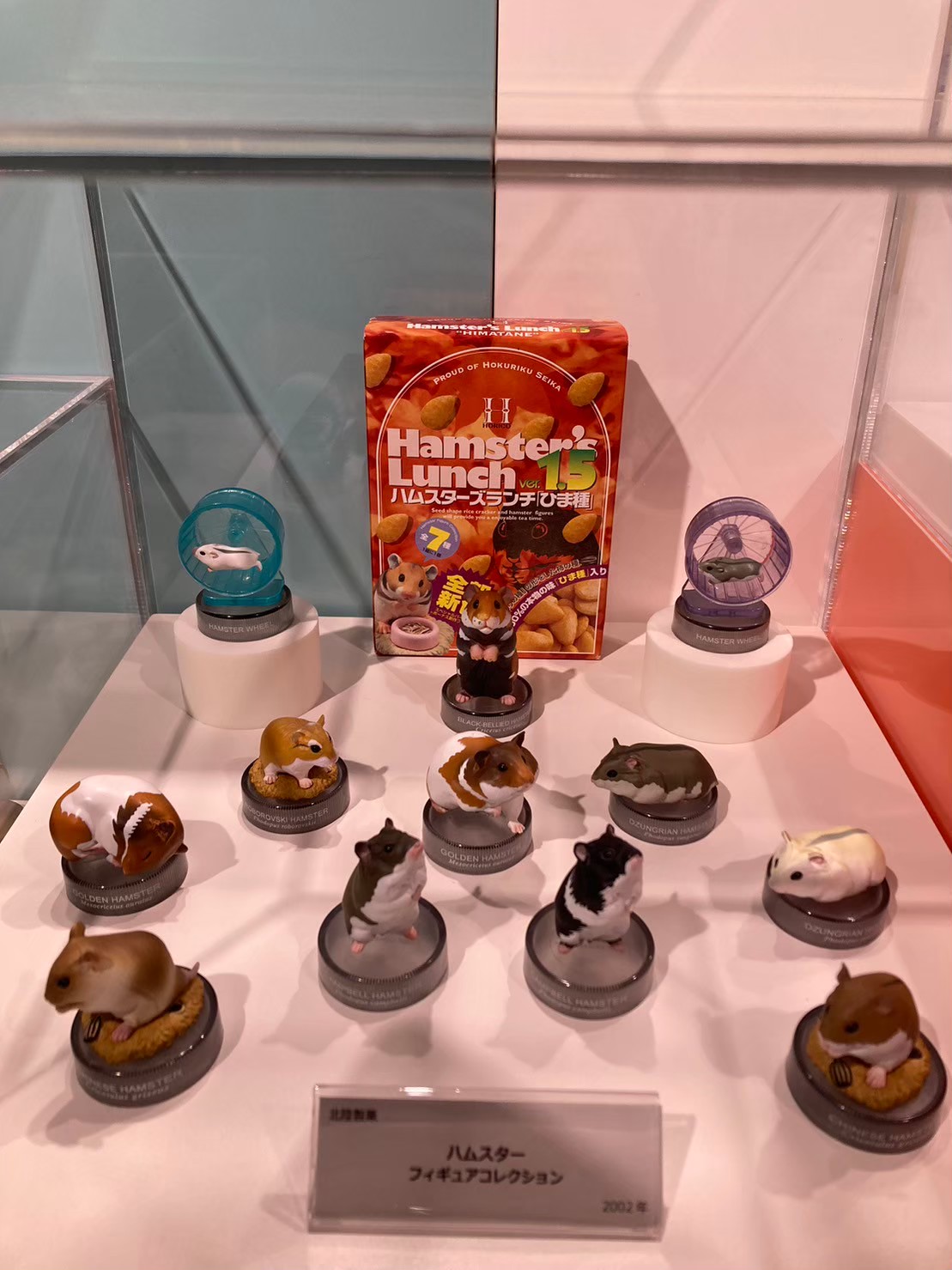 大阪城 https://dtks6emtee9cj.cloudfront.net/20231216/29.jpg