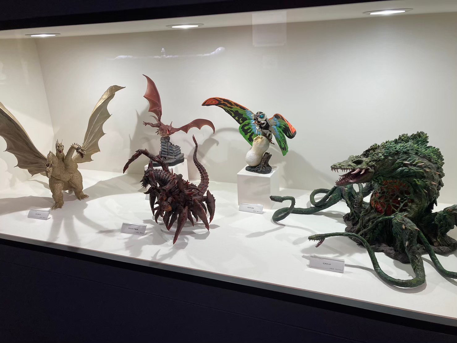 大阪城 https://dtks6emtee9cj.cloudfront.net/20231216/34.jpg