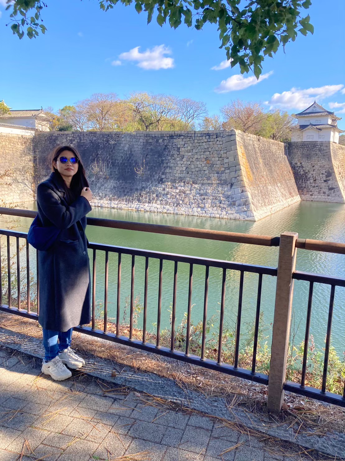 大阪城 https://dtks6emtee9cj.cloudfront.net/20231216/37.jpg