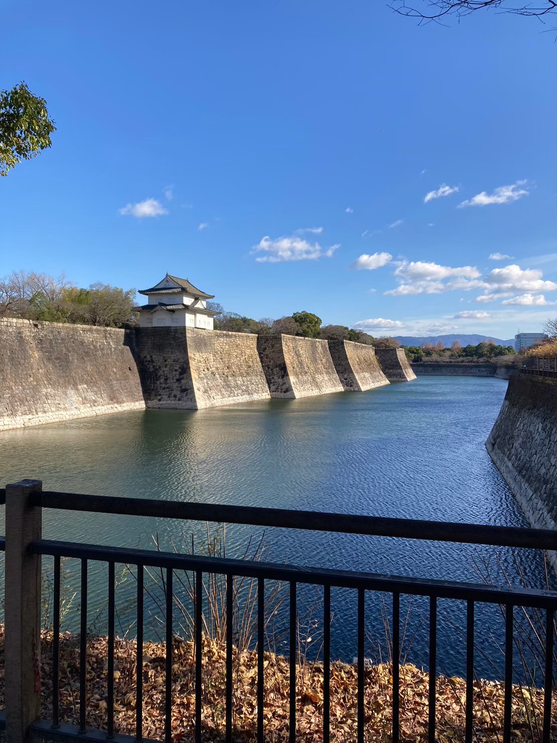 大阪城 https://dtks6emtee9cj.cloudfront.net/20231216/43.jpg