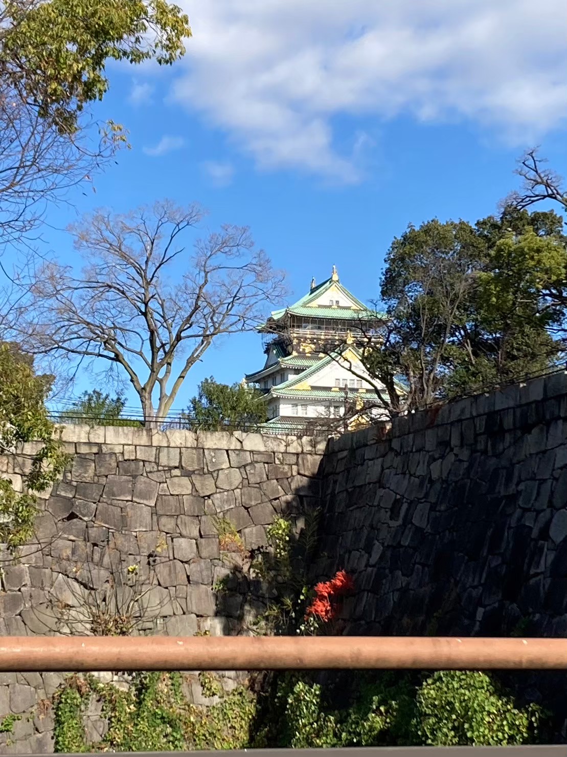 大阪城 https://dtks6emtee9cj.cloudfront.net/20231216/45.jpg