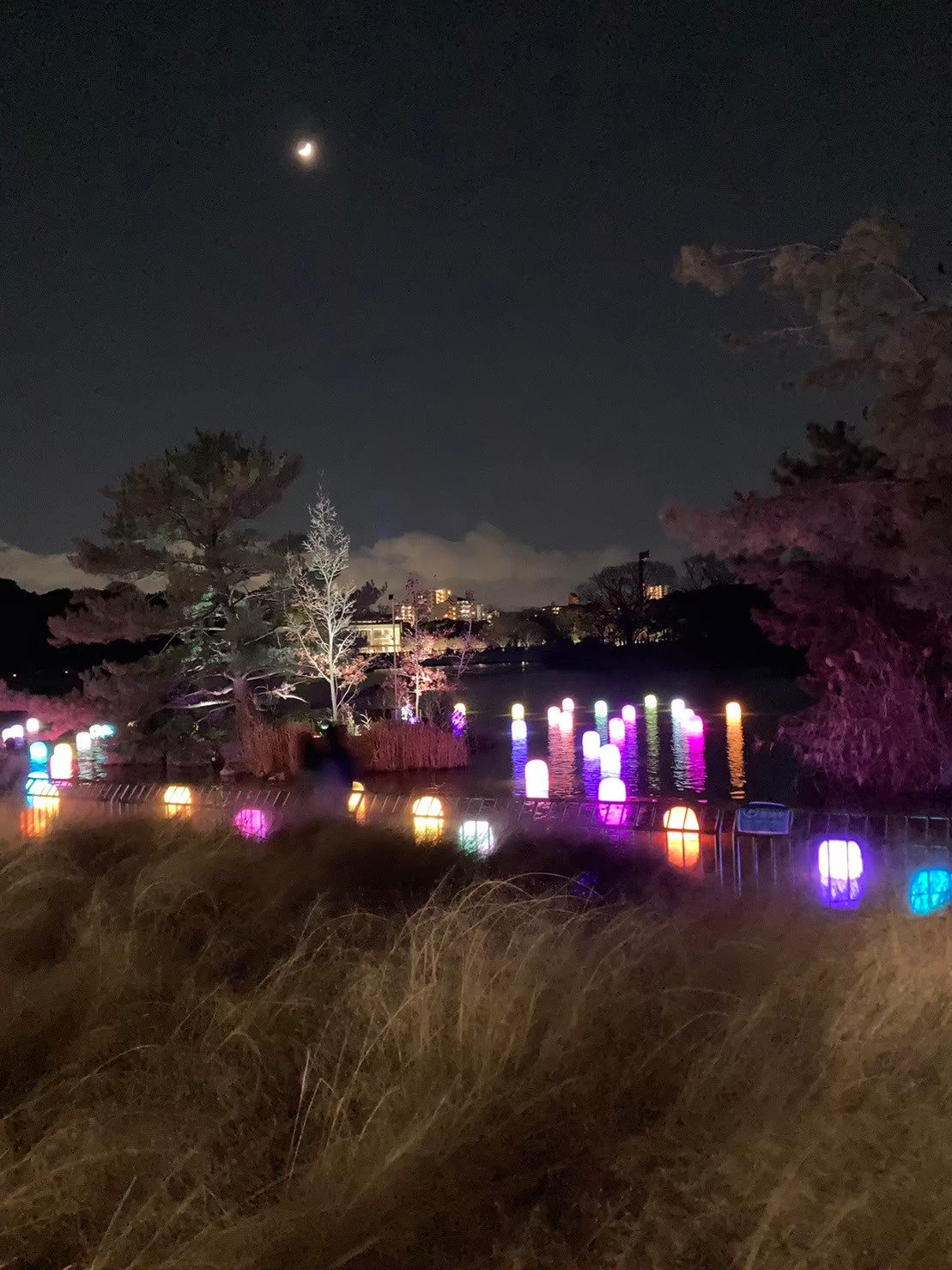 Teamlab https://dtks6emtee9cj.cloudfront.net/20231216/55.jpg