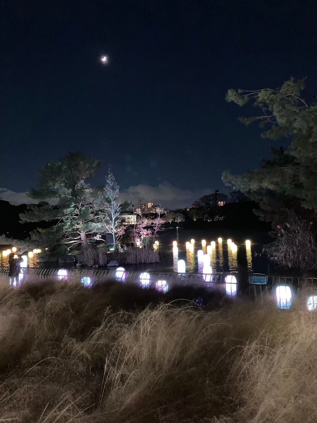 Teamlab https://dtks6emtee9cj.cloudfront.net/20231216/56.jpg