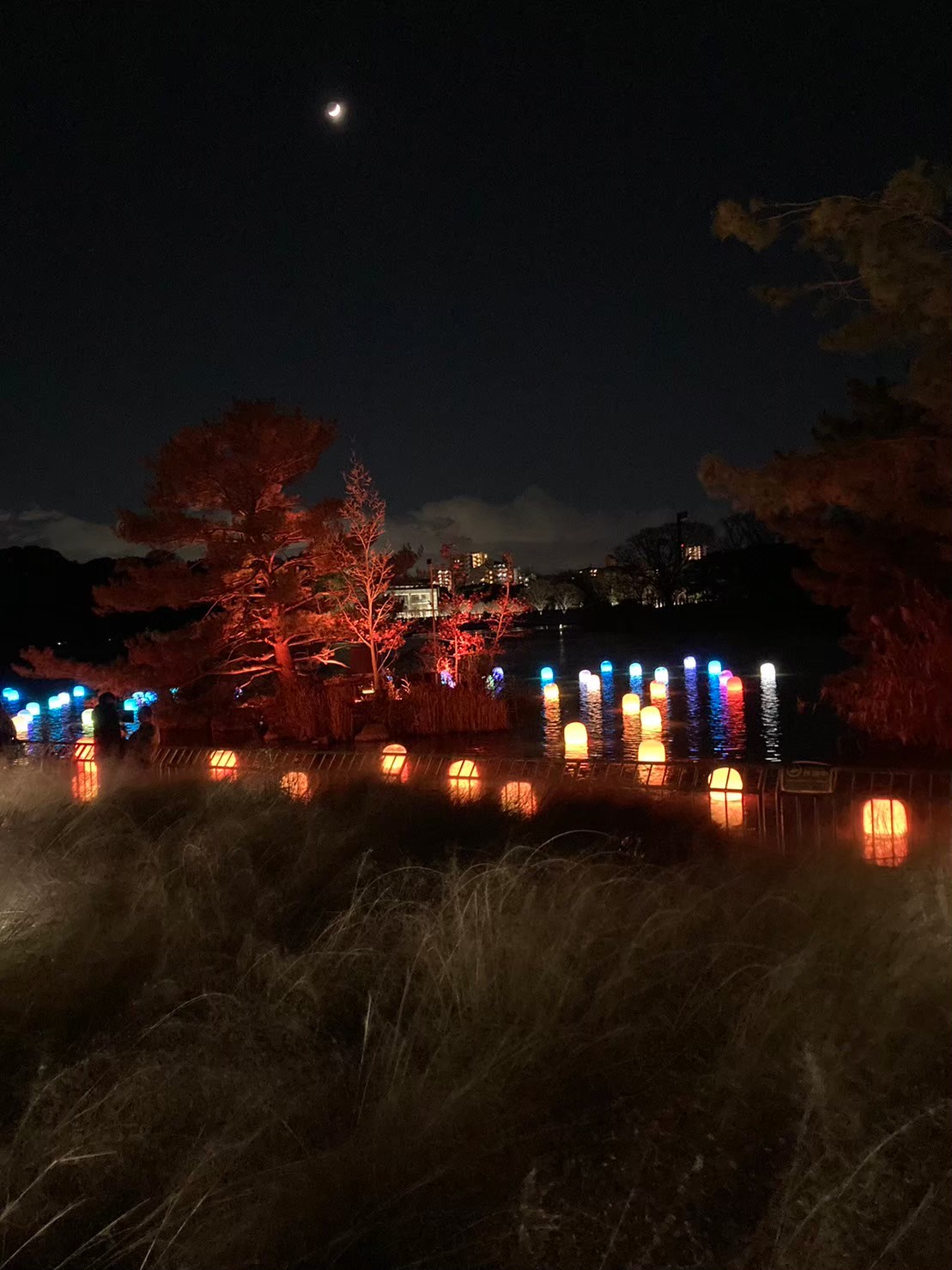 Teamlab https://dtks6emtee9cj.cloudfront.net/20231216/57.jpg