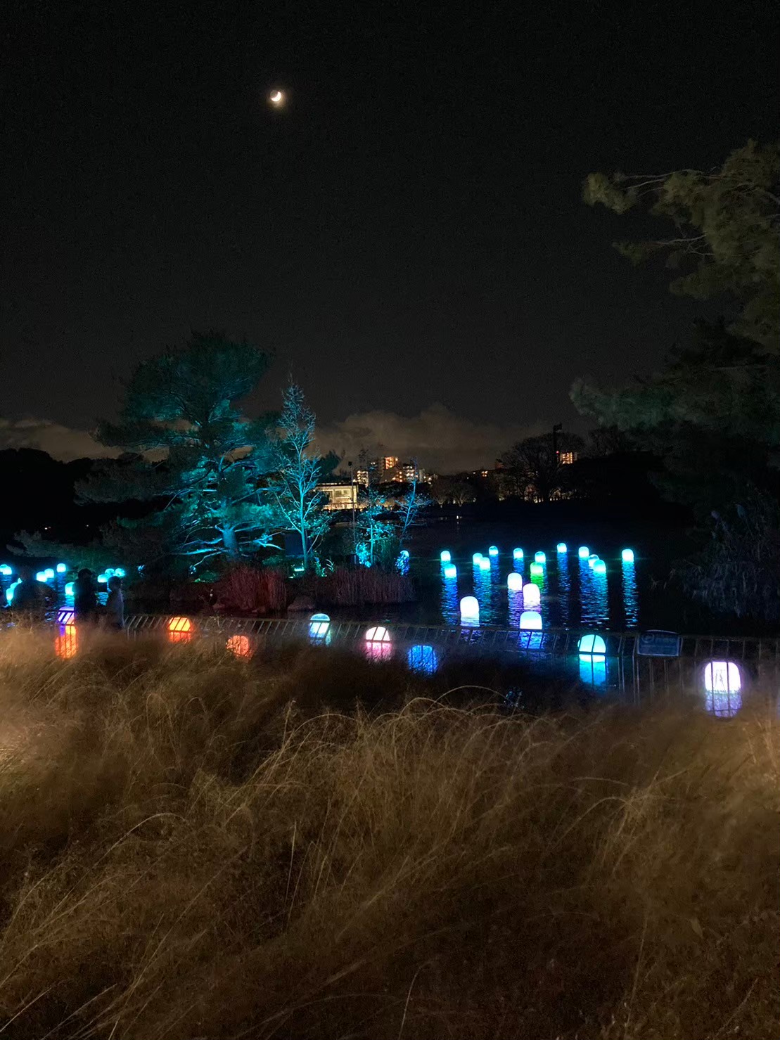 Teamlab https://dtks6emtee9cj.cloudfront.net/20231216/58.jpg