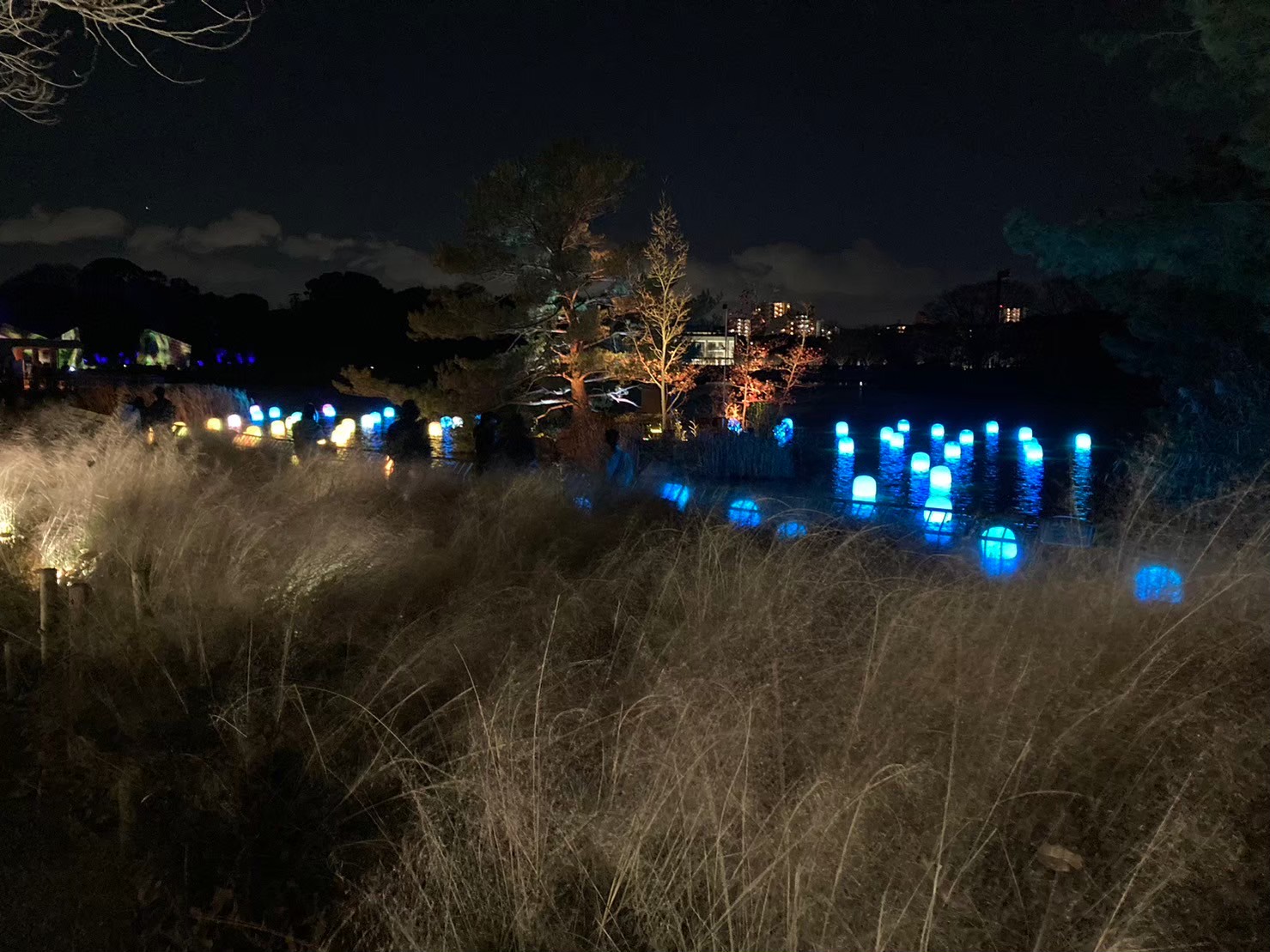 Teamlab https://dtks6emtee9cj.cloudfront.net/20231216/74.jpg