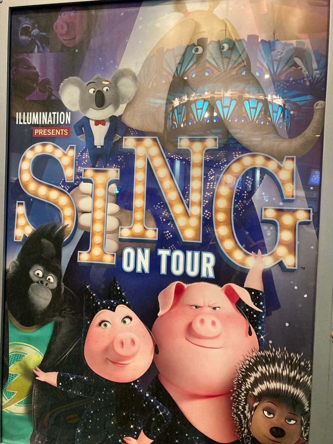 SING https://dtks6emtee9cj.cloudfront.net/20231219/22.jpg