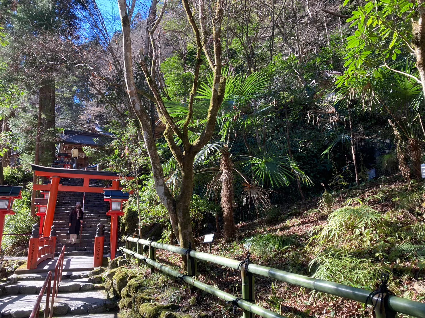 貴船神社 https://dtks6emtee9cj.cloudfront.net/20231219/242.jpg
