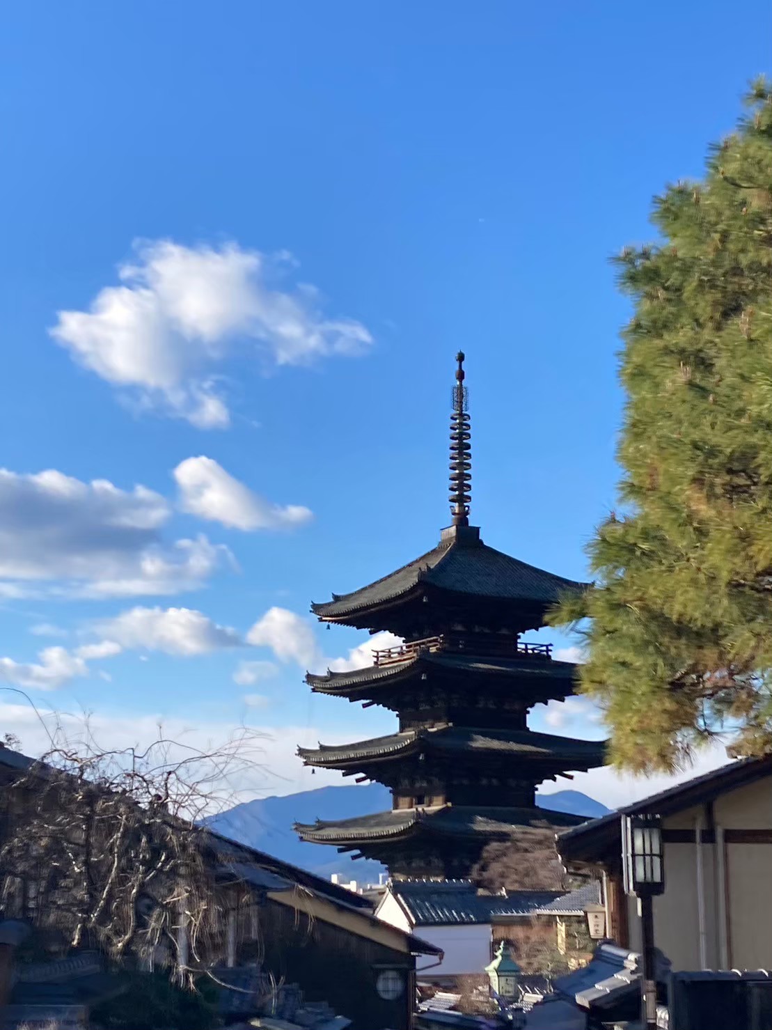 法觀寺 https://dtks6emtee9cj.cloudfront.net/20231219/255.jpg