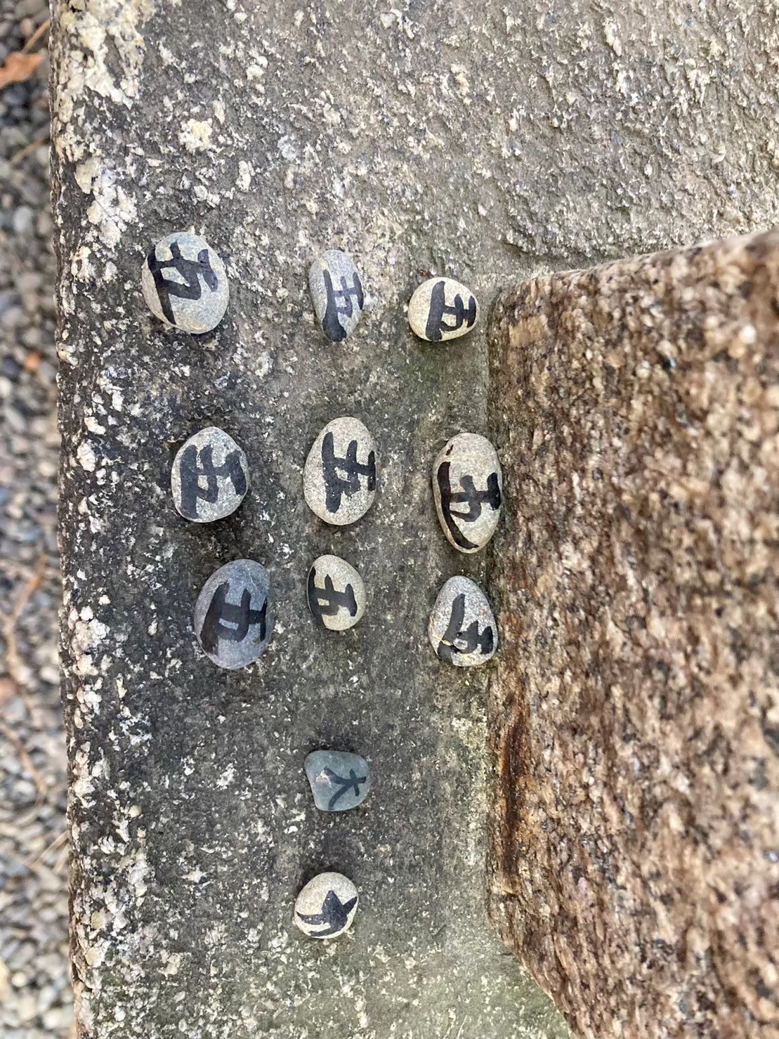 Yodobashi https://dtks6emtee9cj.cloudfront.net/20231219/305.jpg