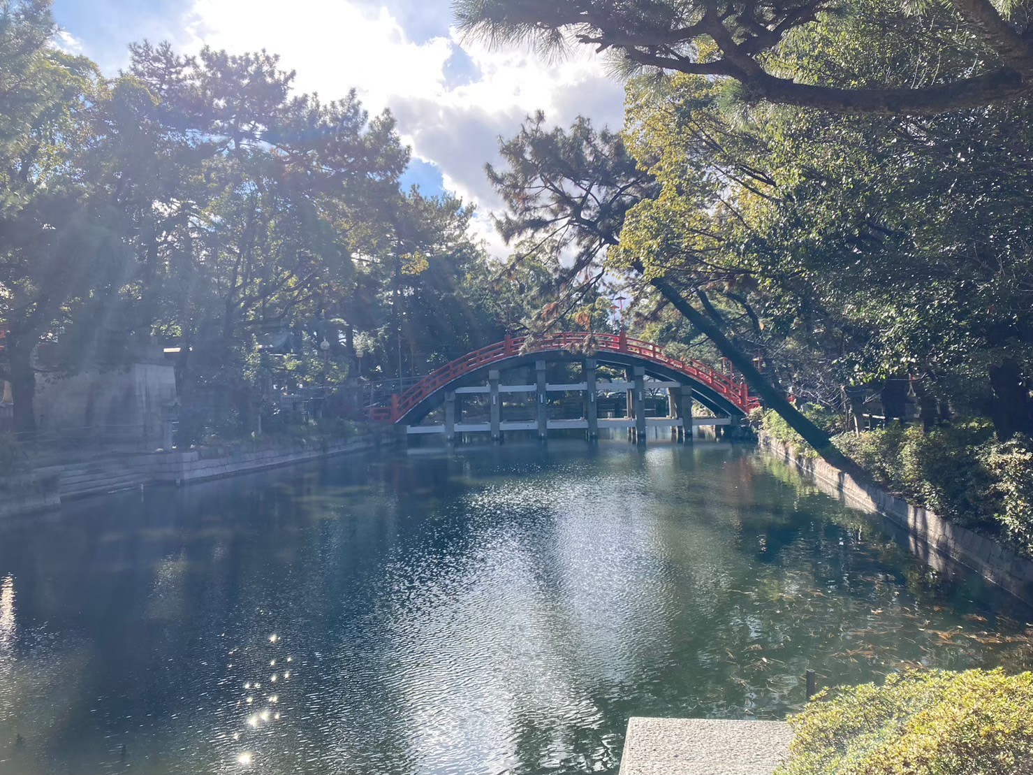 Yodobashi https://dtks6emtee9cj.cloudfront.net/20231219/308.jpg