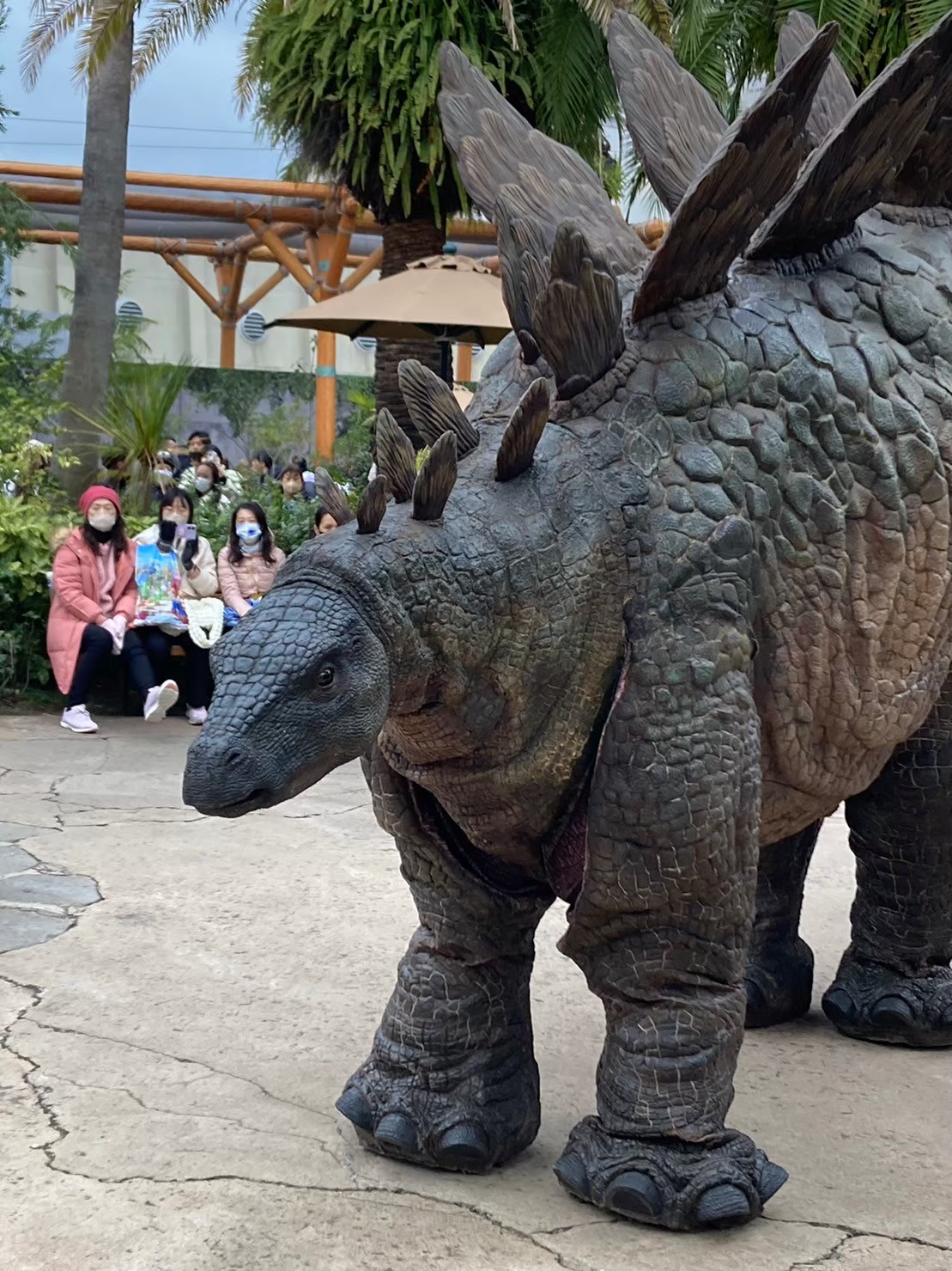 恐龍 https://dtks6emtee9cj.cloudfront.net/20231219/31.jpg