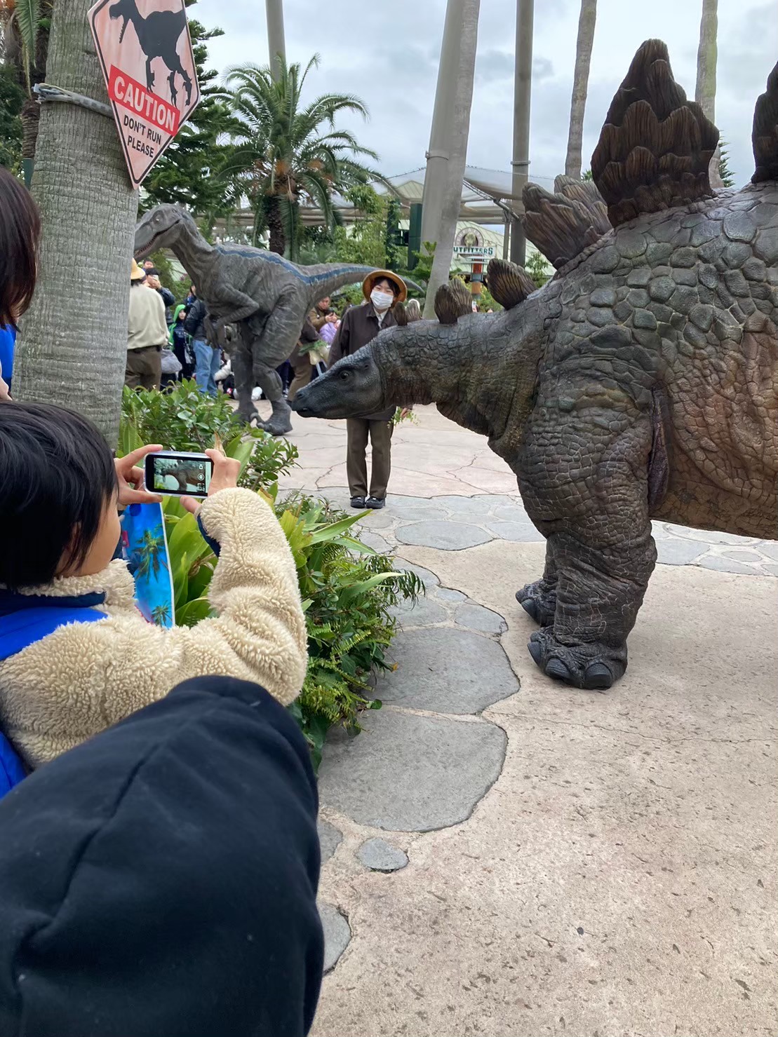 恐龍 https://dtks6emtee9cj.cloudfront.net/20231219/32.jpg