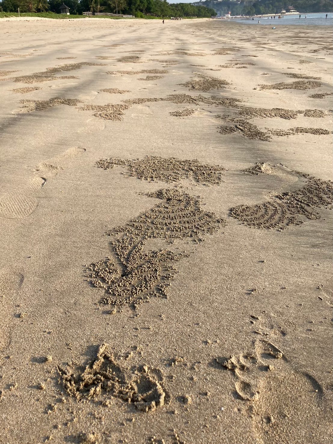 文案 https://dtks6emtee9cj.cloudfront.net/20240523/1034.jpg