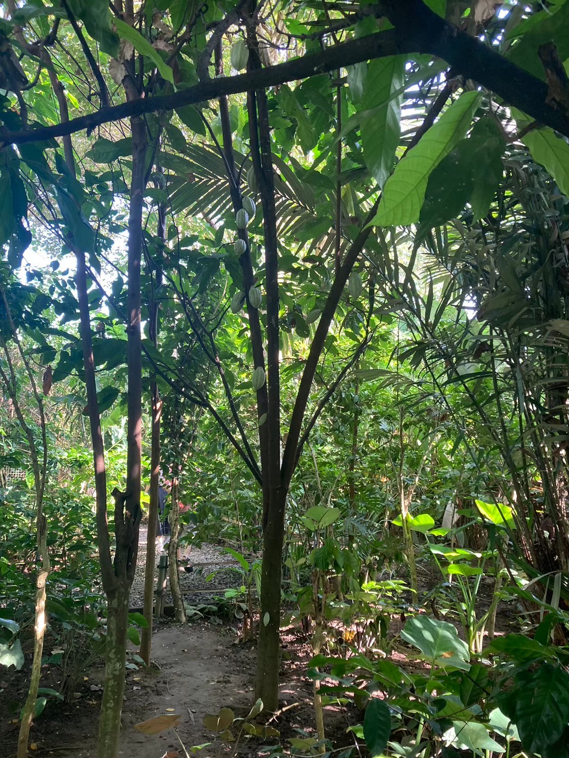 Satria Agrowisata https://dtks6emtee9cj.cloudfront.net/20240523/2002.jpg