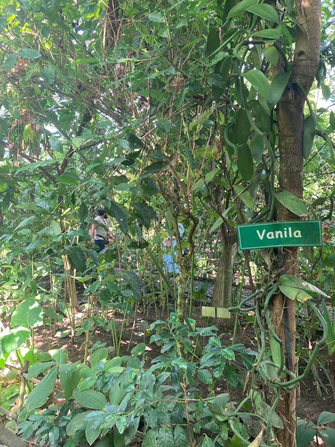 Satria Agrowisata https://dtks6emtee9cj.cloudfront.net/20240523/2003.jpg