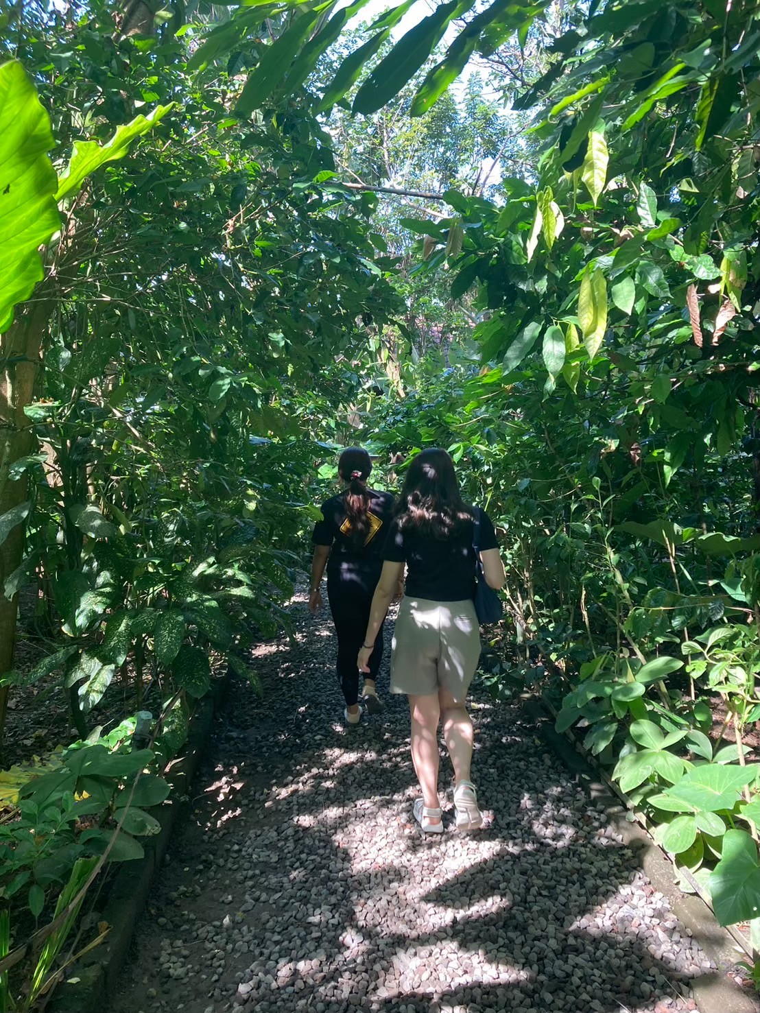 Satria Agrowisata https://dtks6emtee9cj.cloudfront.net/20240523/2004.jpg