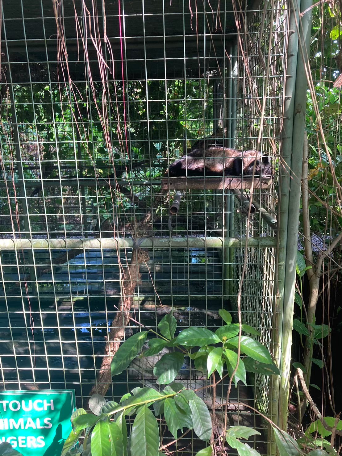 Satria Agrowisata https://dtks6emtee9cj.cloudfront.net/20240523/2006.jpg