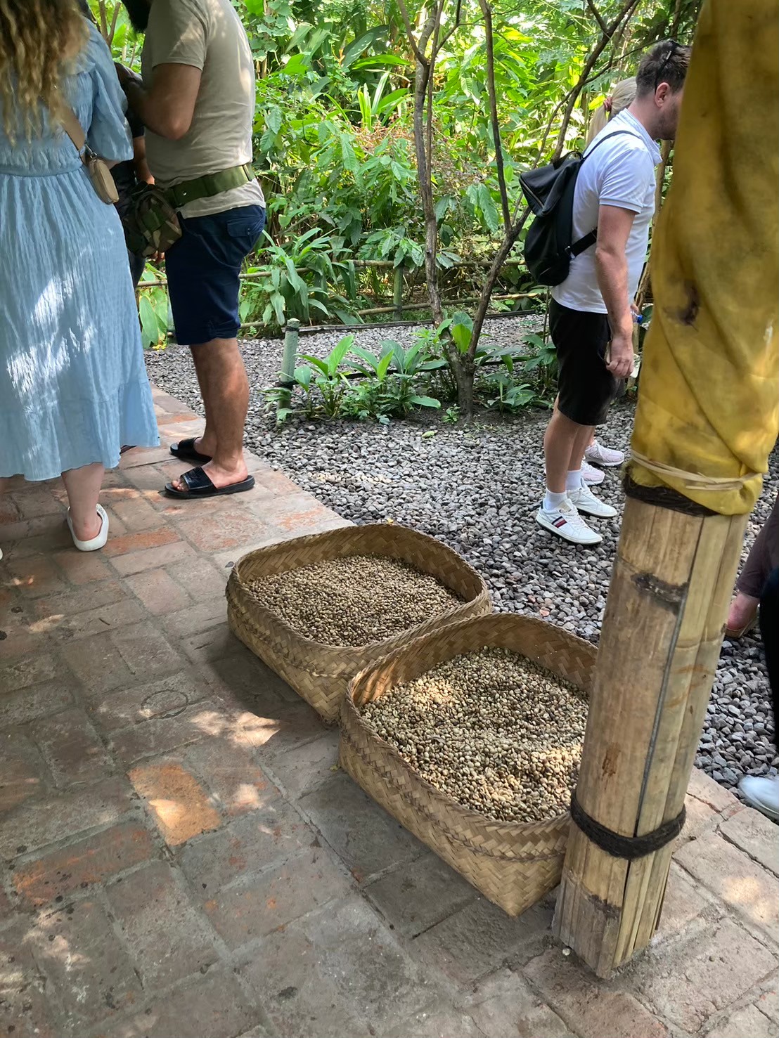 Satria Agrowisata https://dtks6emtee9cj.cloudfront.net/20240523/2008.jpg