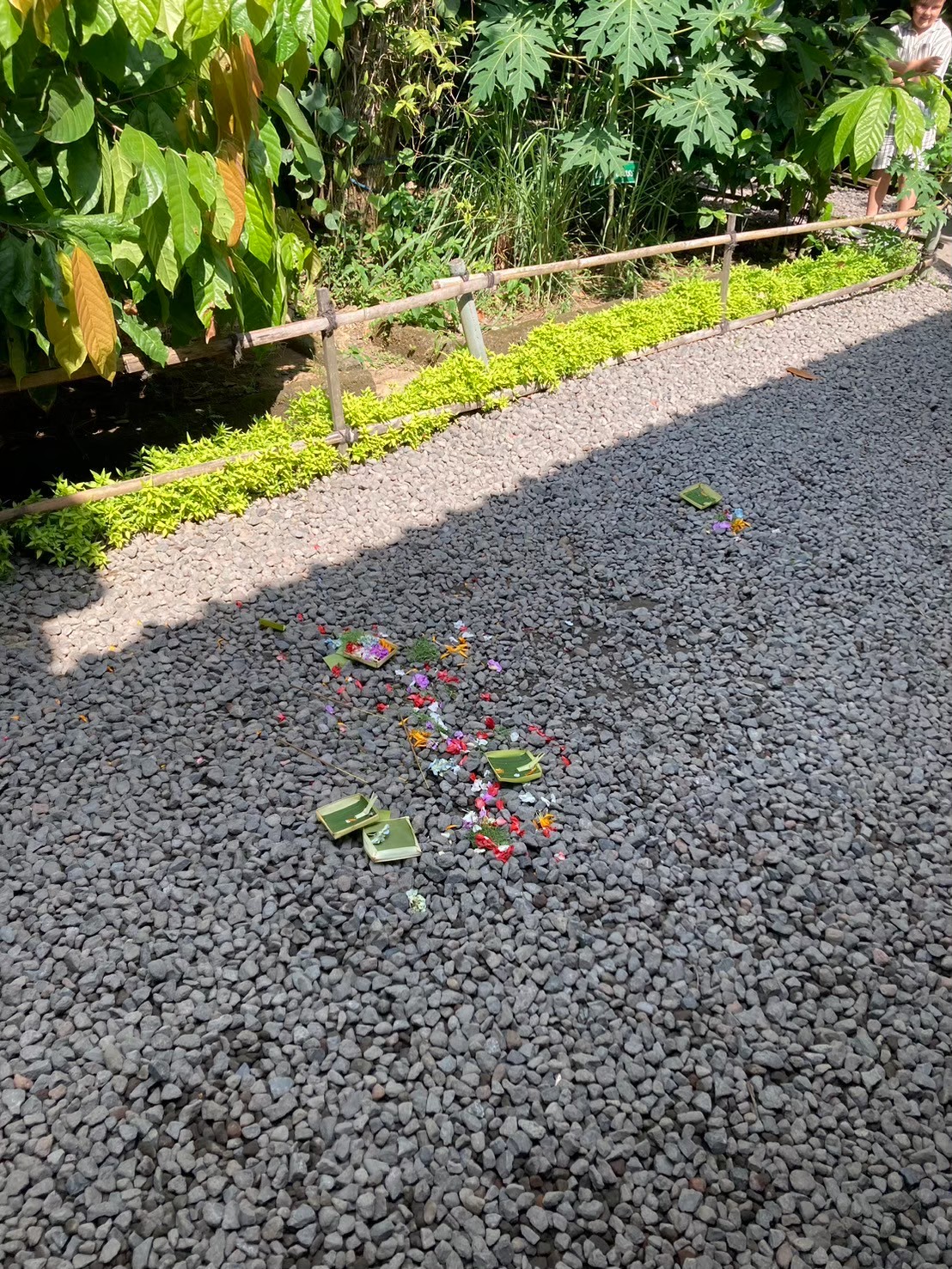 Satria Agrowisata https://dtks6emtee9cj.cloudfront.net/20240523/2024.jpg