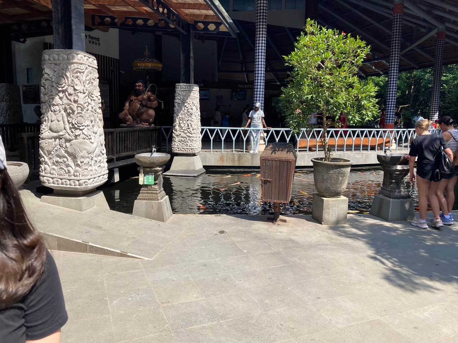 聖猴森林 https://dtks6emtee9cj.cloudfront.net/20240523/2025.jpg