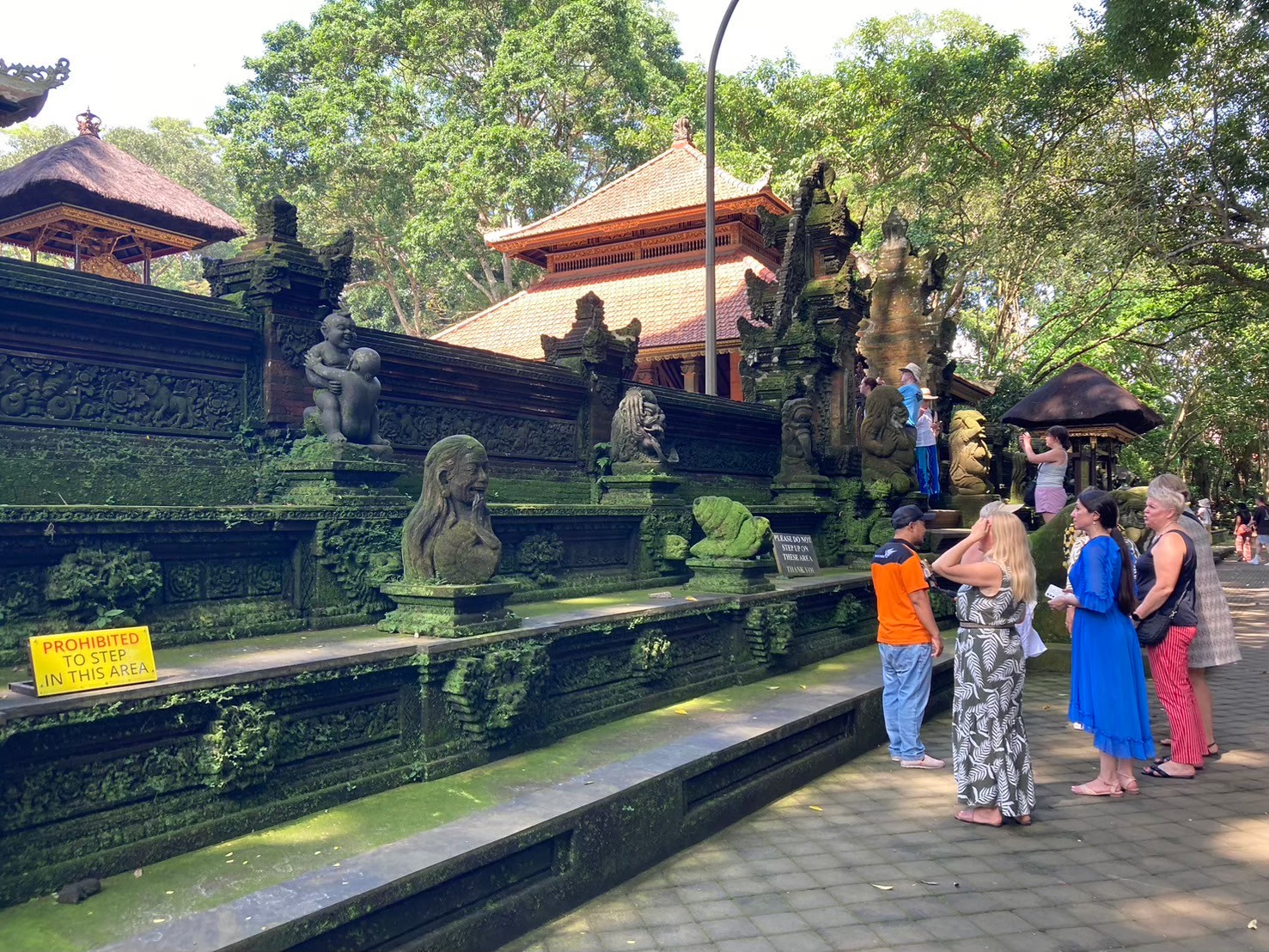 聖猴森林 https://dtks6emtee9cj.cloudfront.net/20240523/2033.jpg