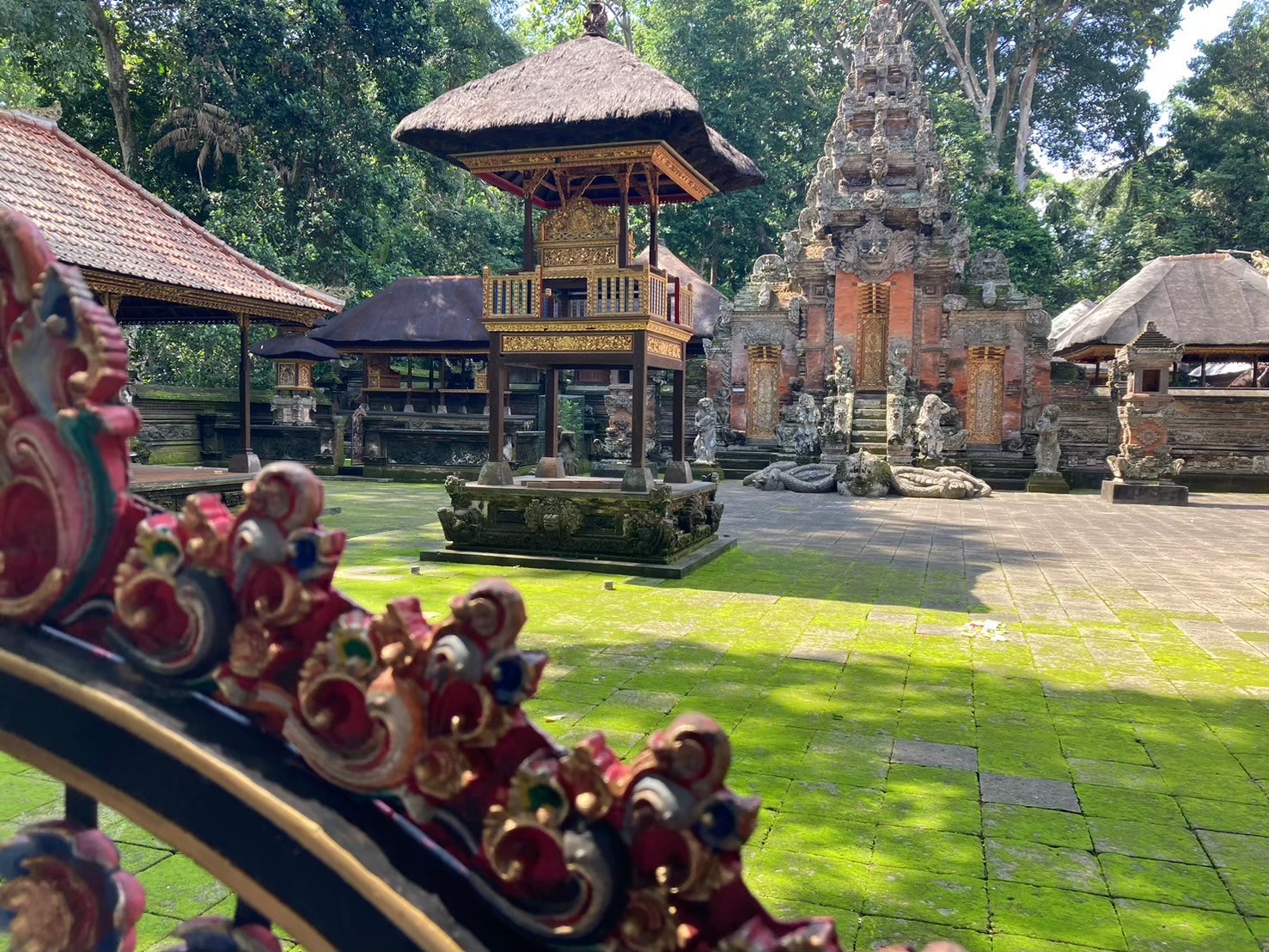 聖猴森林 https://dtks6emtee9cj.cloudfront.net/20240523/2034.jpg