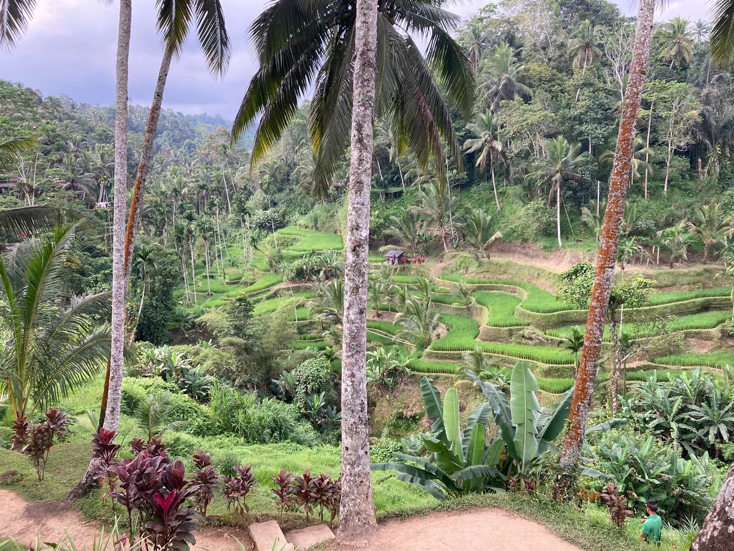 梯田吃飯 https://dtks6emtee9cj.cloudfront.net/20240523/2069.jpg