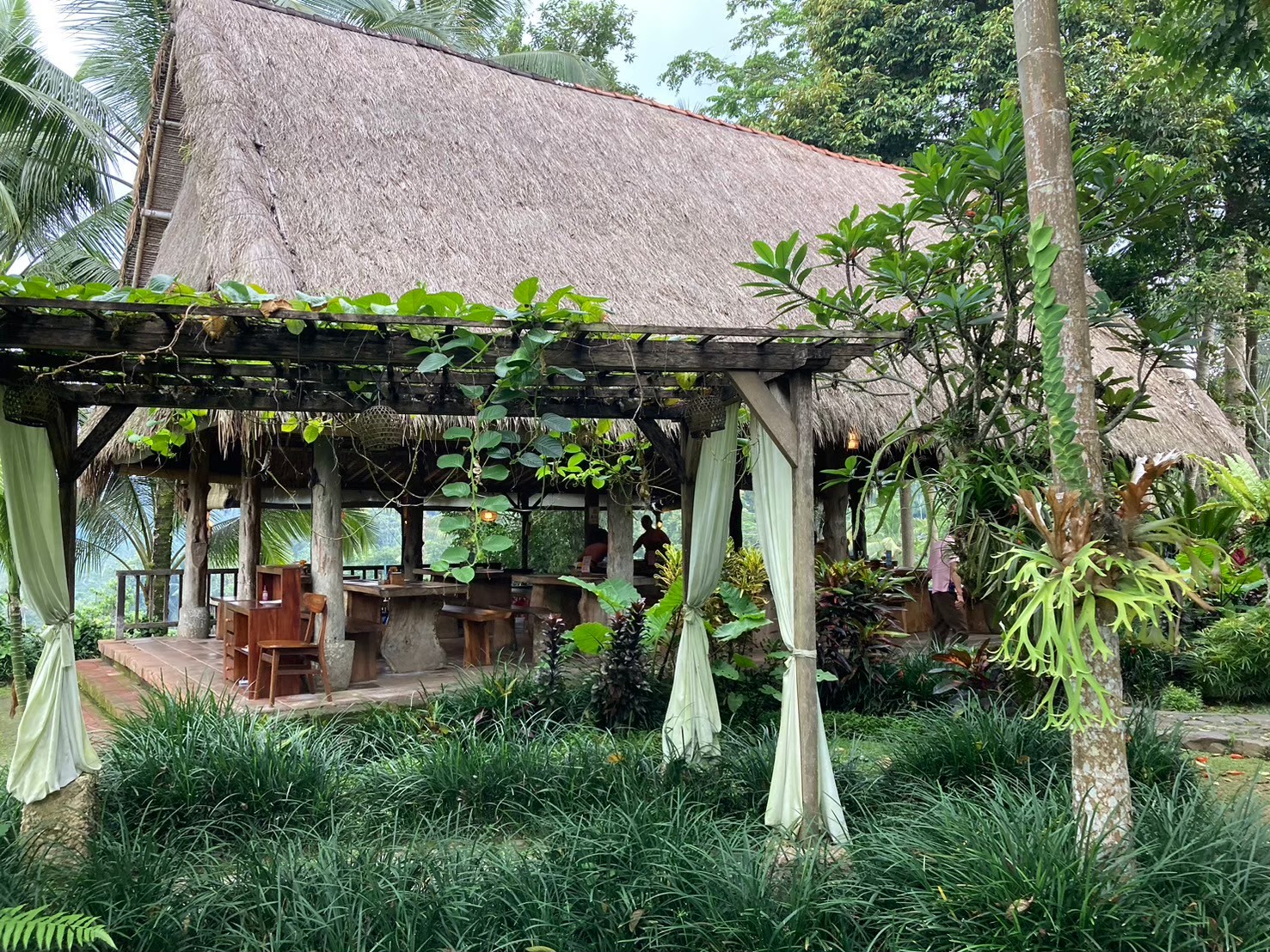 梯田吃飯 https://dtks6emtee9cj.cloudfront.net/20240523/2078.jpg