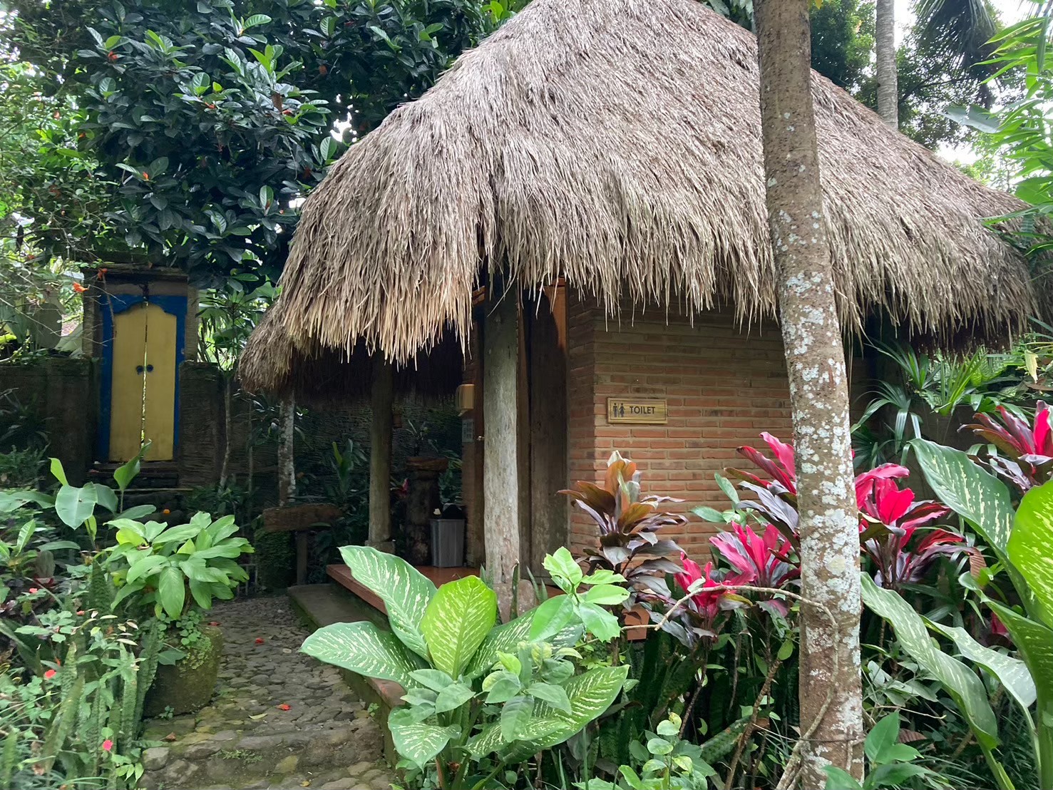 梯田吃飯 https://dtks6emtee9cj.cloudfront.net/20240523/2080.jpg