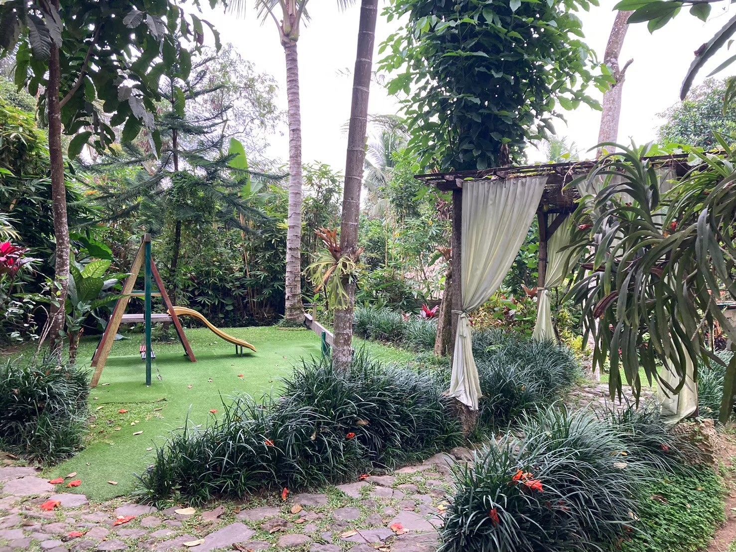 梯田吃飯 https://dtks6emtee9cj.cloudfront.net/20240523/2081.jpg