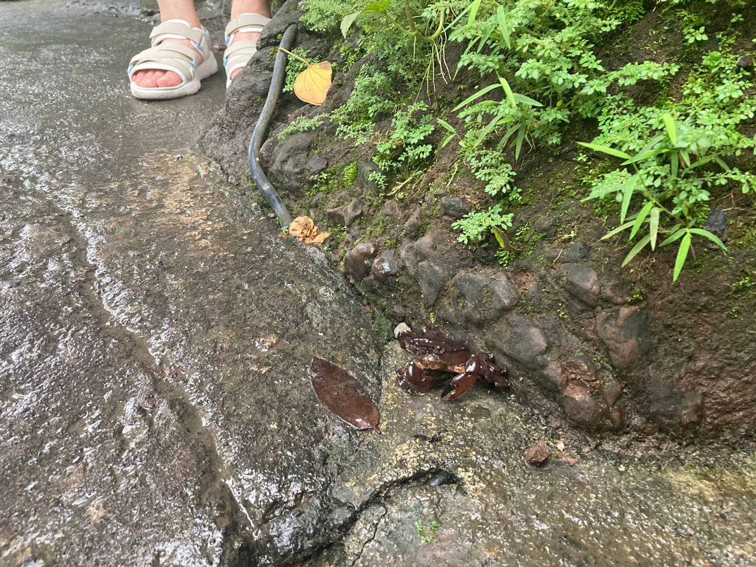 Tegenungan 瀑布 https://dtks6emtee9cj.cloudfront.net/20240523/2114.jpg